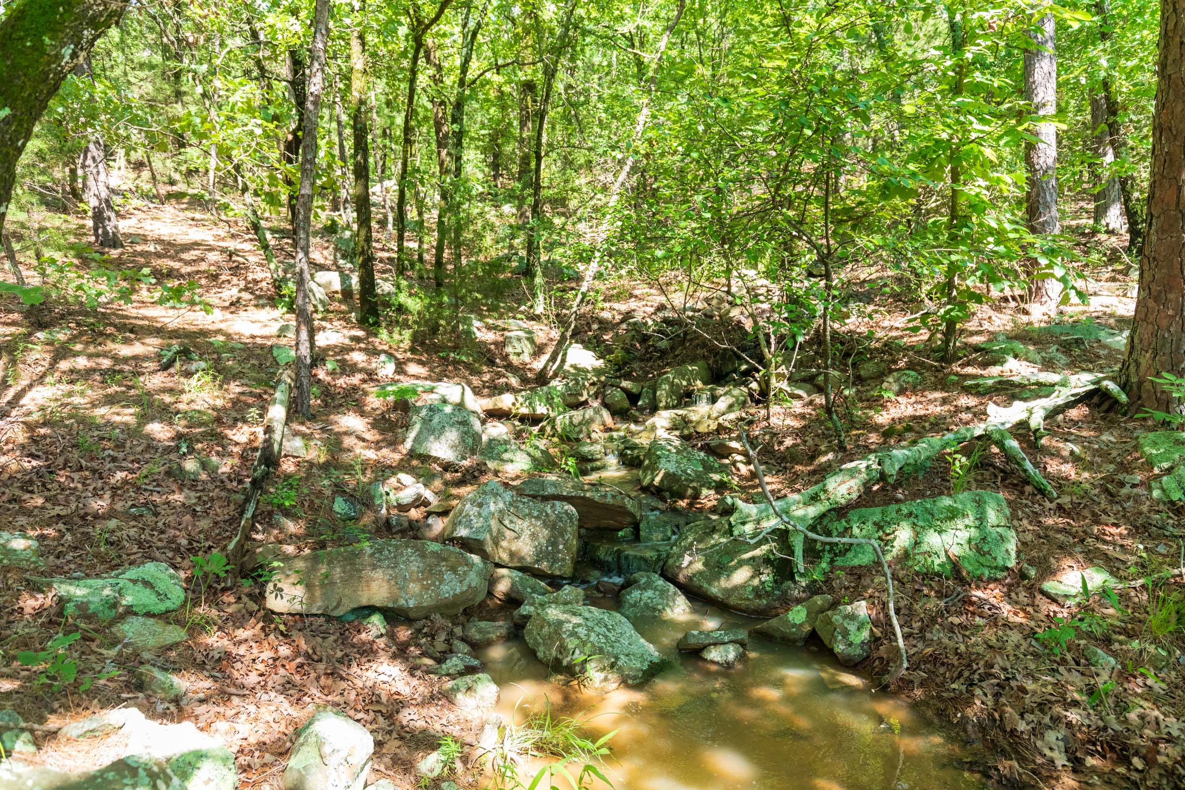 Stone Bridge Phase VI Tract 429 photo 11