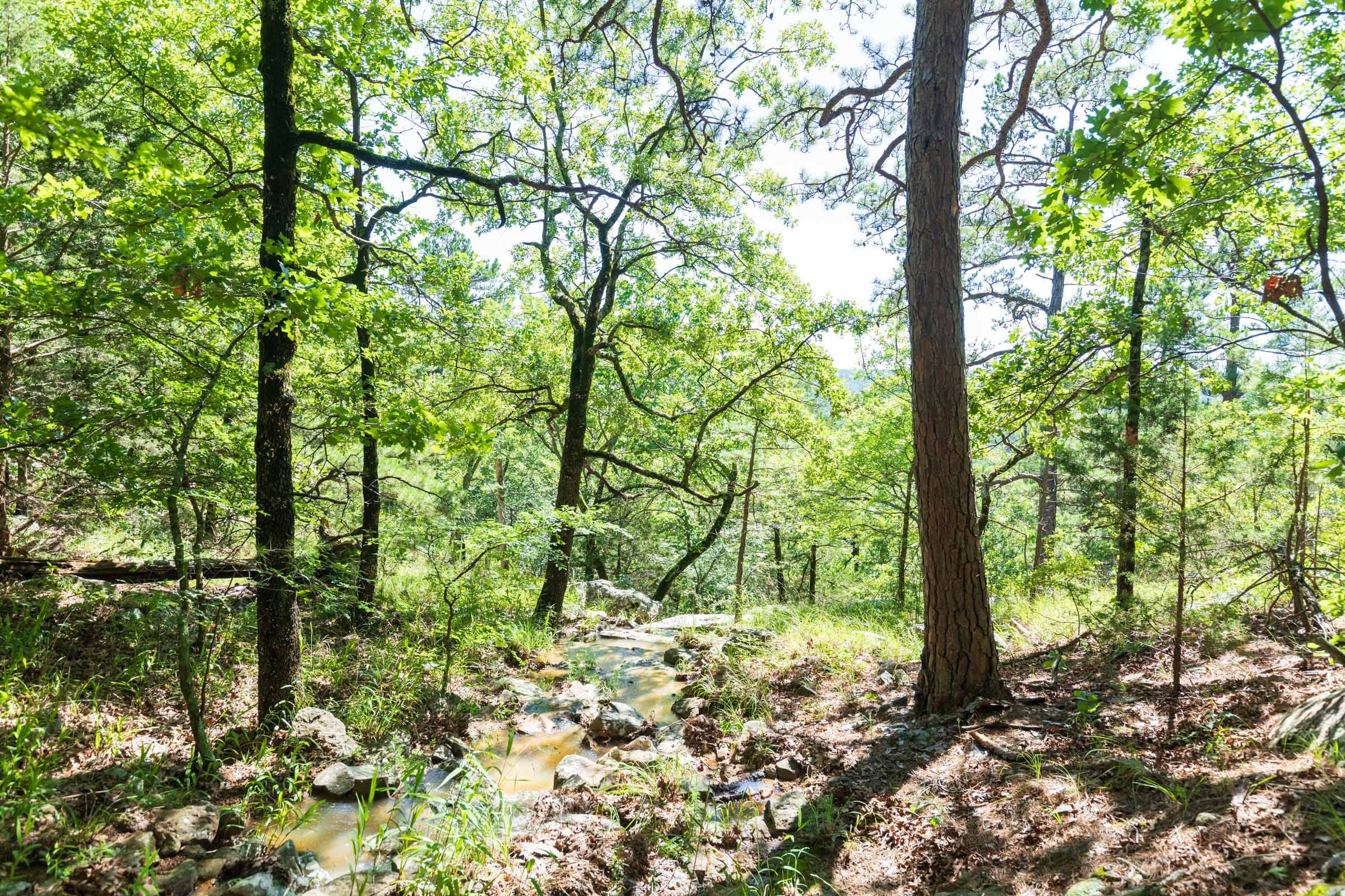 Stone Bridge Phase VI Tract 429 photo 10