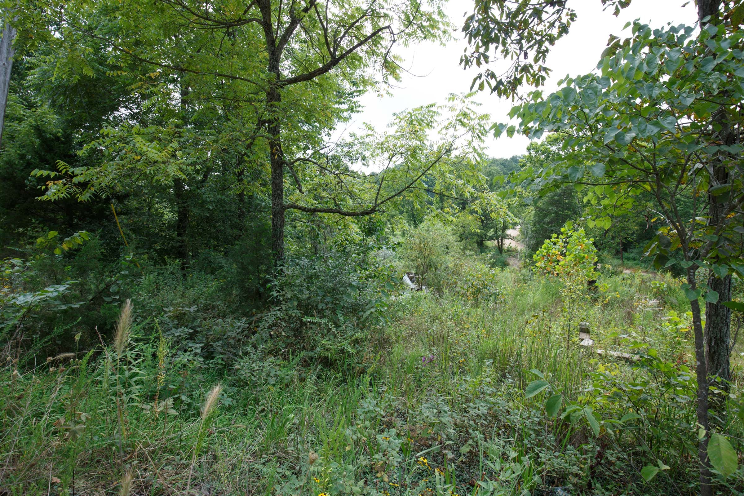 Spring Lake Plat 6 Tract 124 photo 4