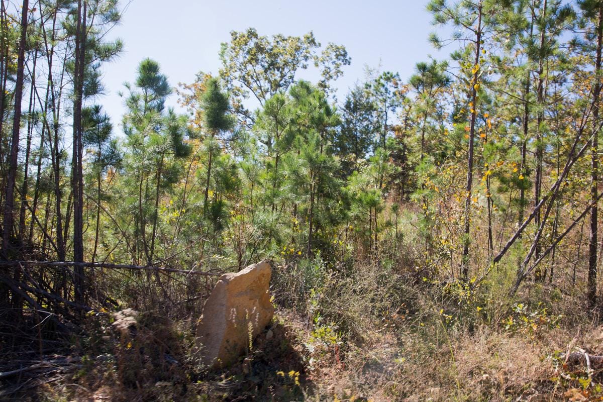 Stone Creek Phase I Tract 181 photo 12