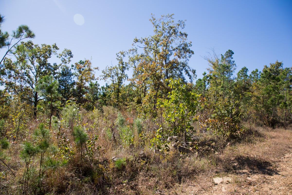 Stone Creek Phase I Tract 181 photo 13