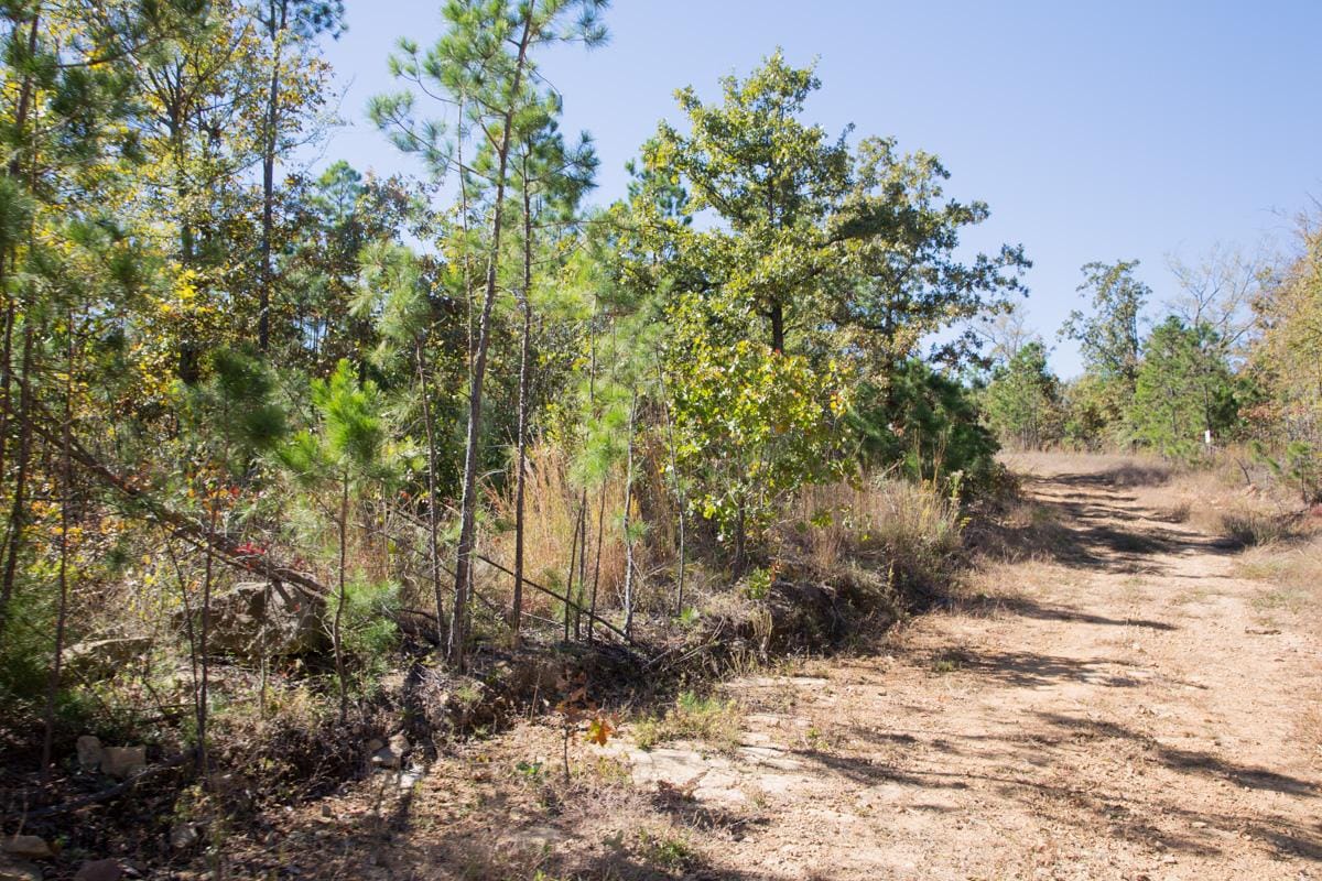 Stone Creek Phase I Tract 181 photo 14