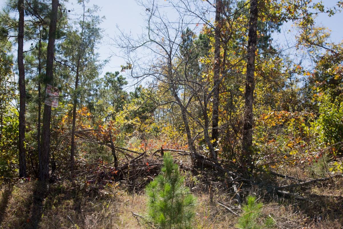 Stone Creek Phase I Tract 181 photo 16