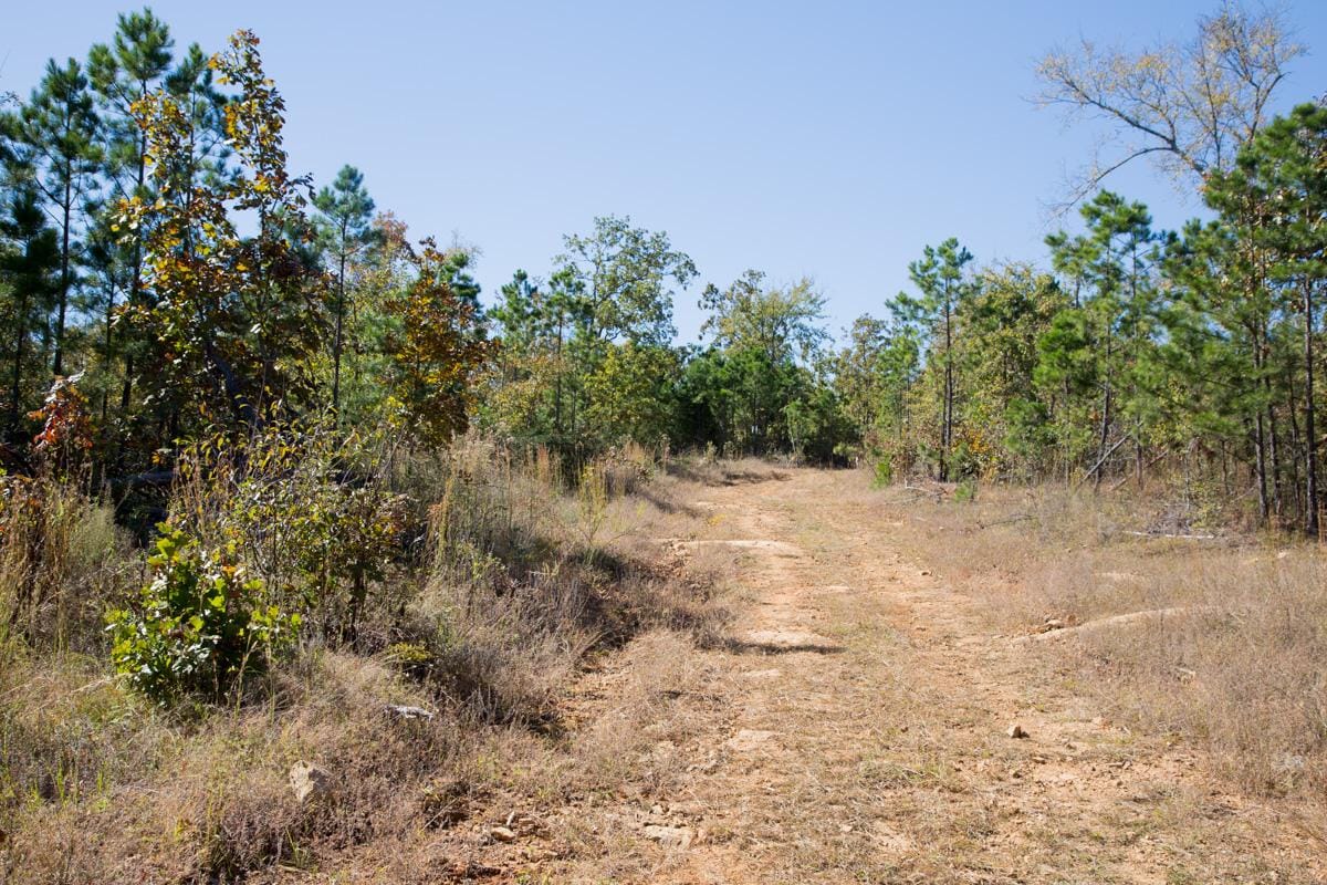 Stone Creek Phase I Tract 181 photo 2