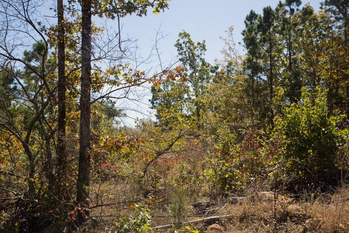 Stone Creek Phase I Tract 181 photo 18