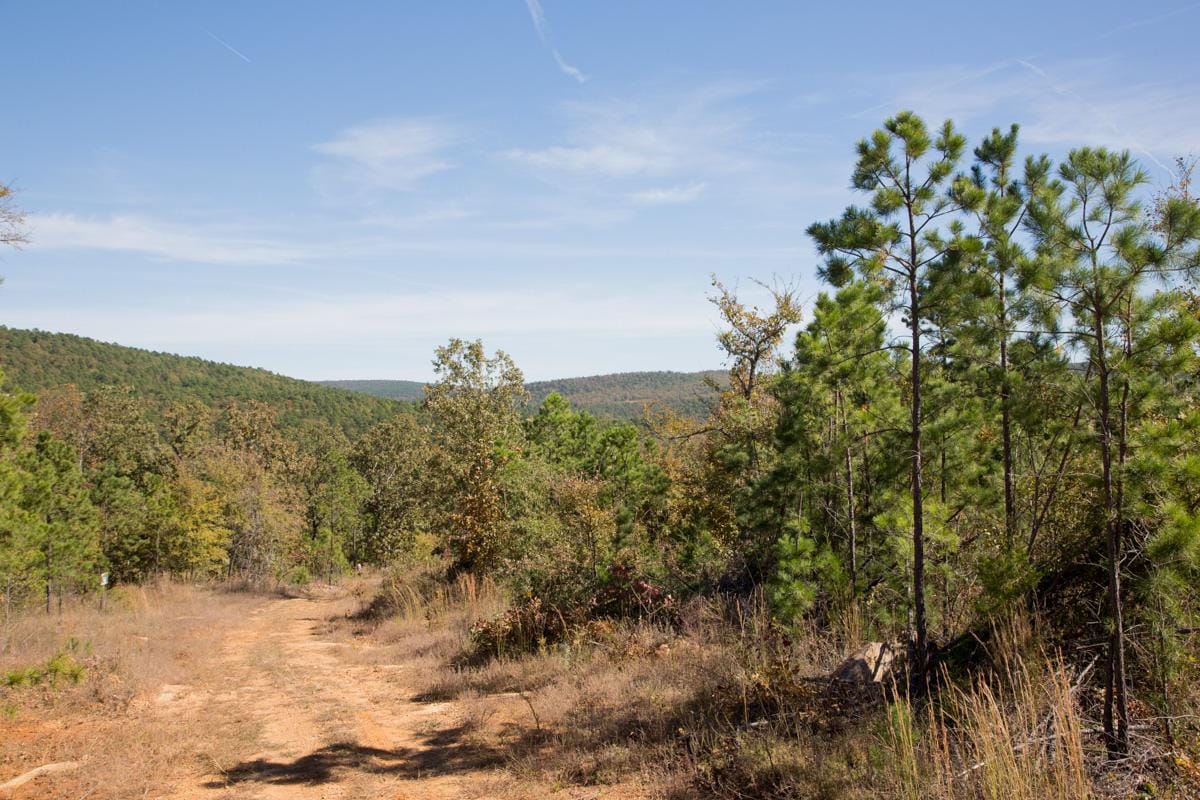 Stone Creek Phase I Tract 181 photo 22