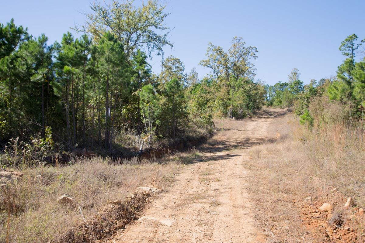 Stone Creek Phase I Tract 181 photo 23