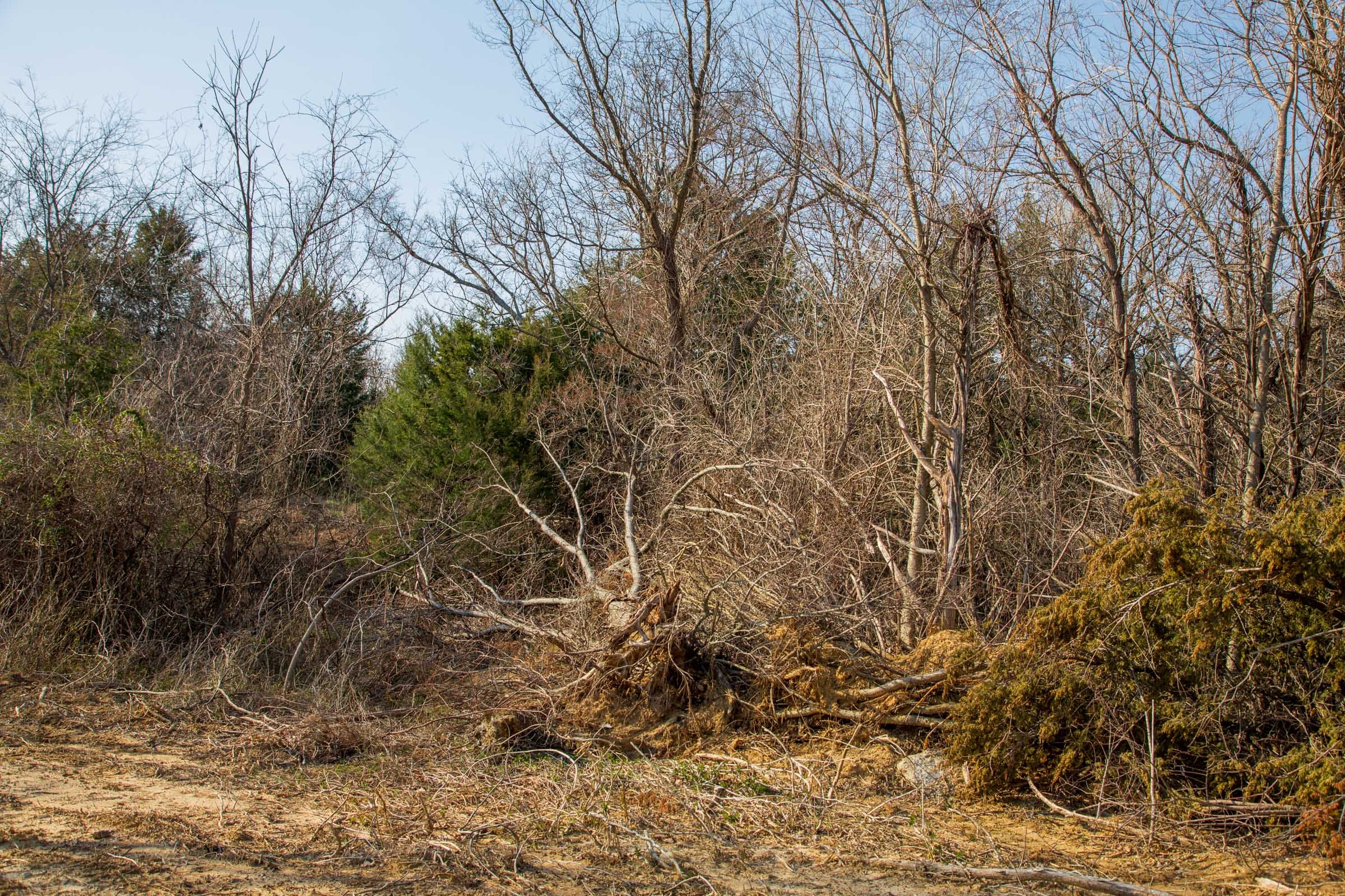 Eufaula Cove Tract 3 photo 3