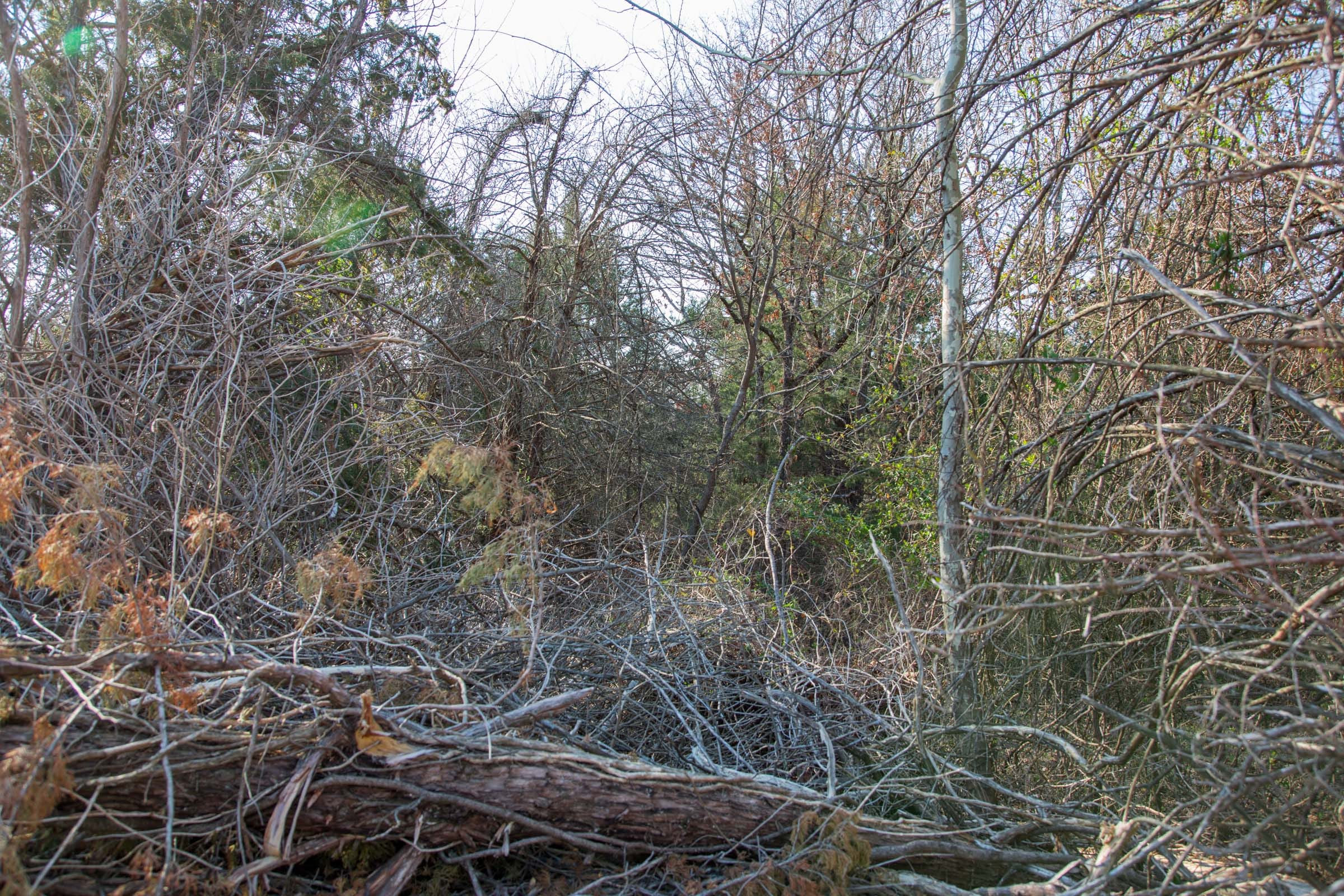 Eufaula Cove Tract 3 photo 5