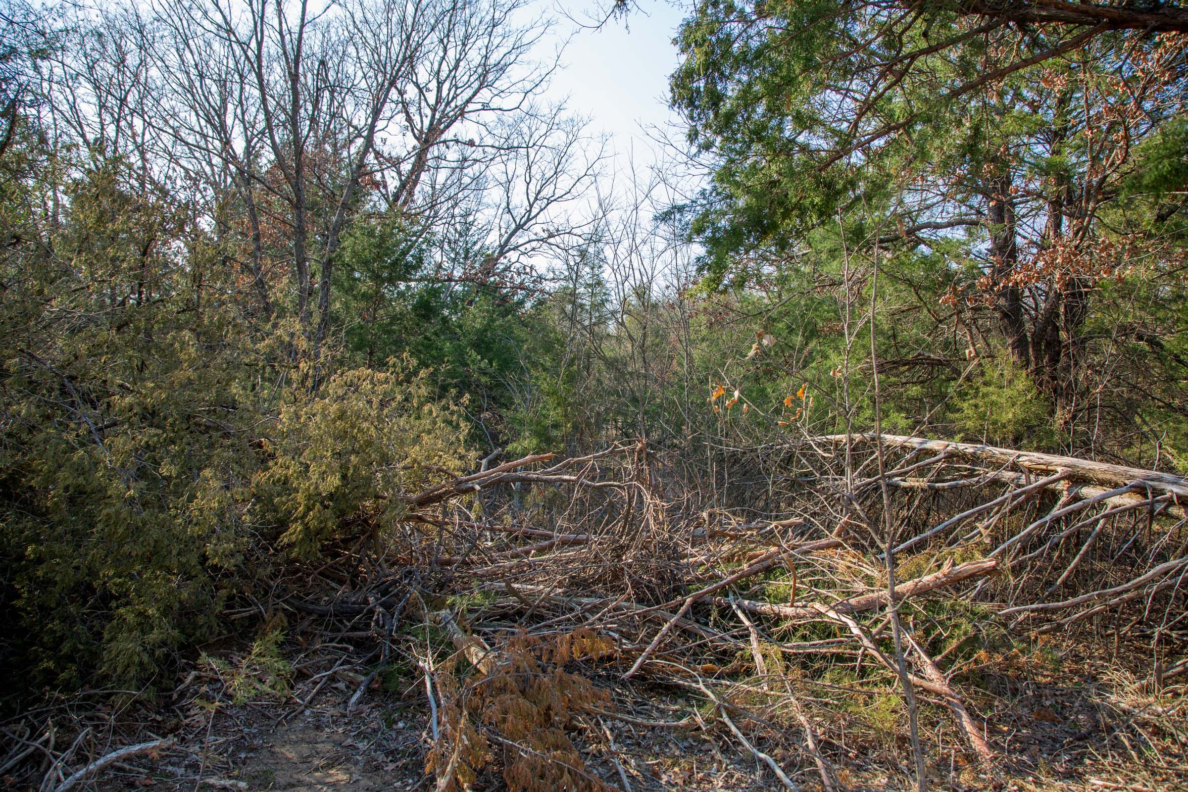 Eufaula Cove Tract 3 photo 6