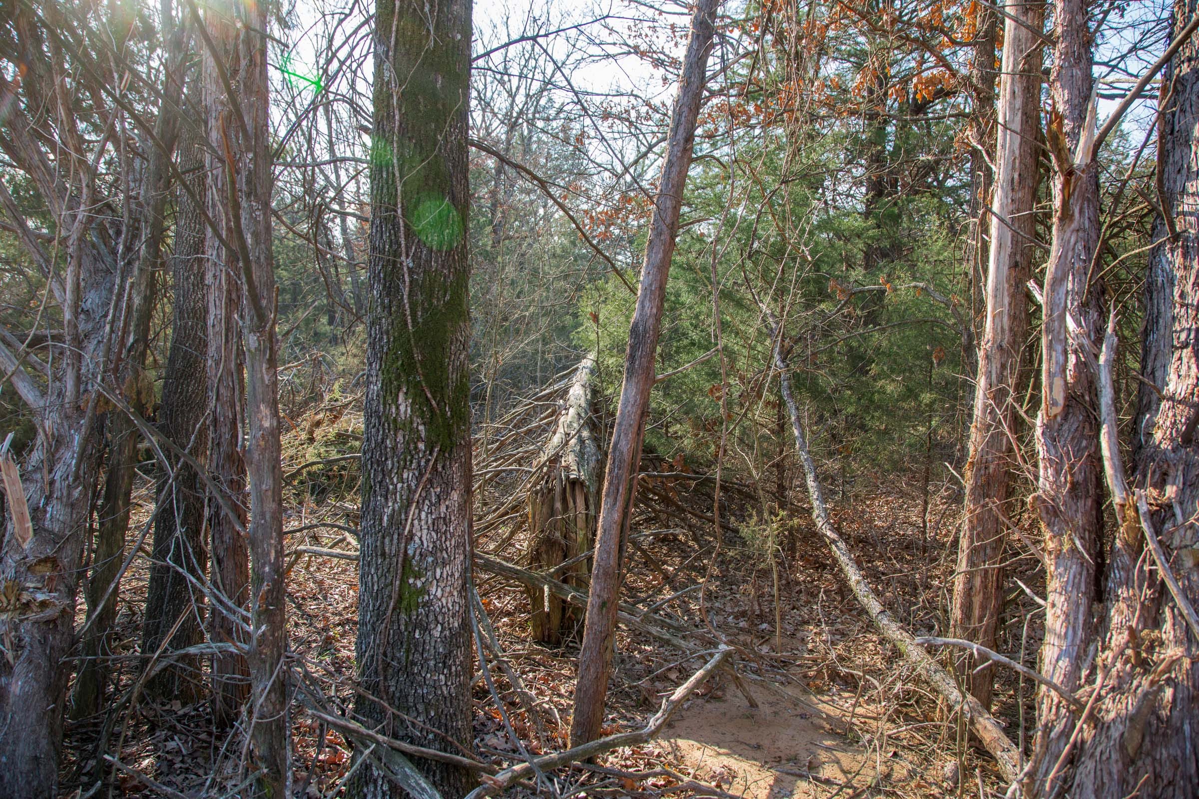 Eufaula Cove Tract 3 photo 7