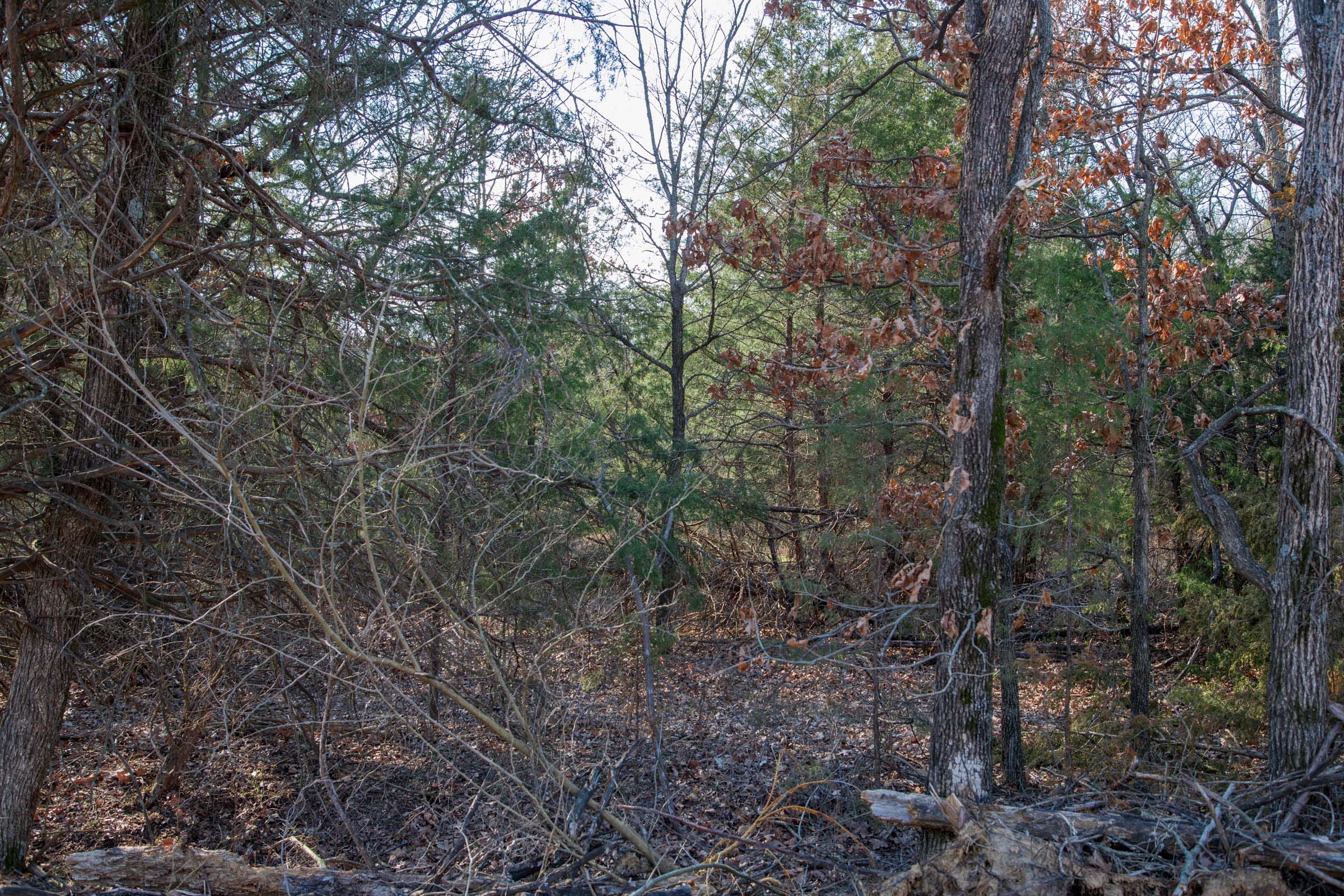 Eufaula Cove Tract 3 photo 9