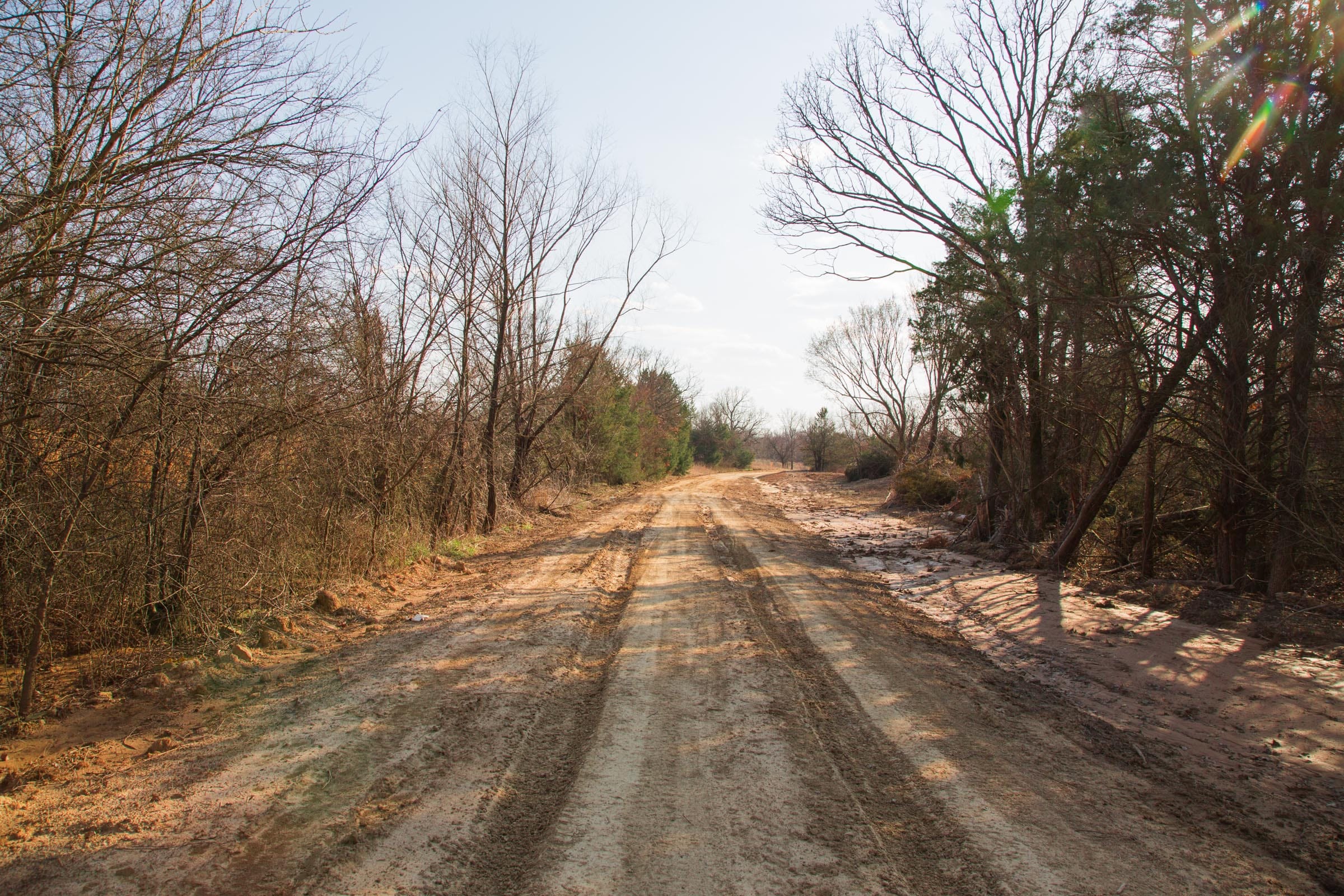 Eufaula Cove Tract 3 photo 11