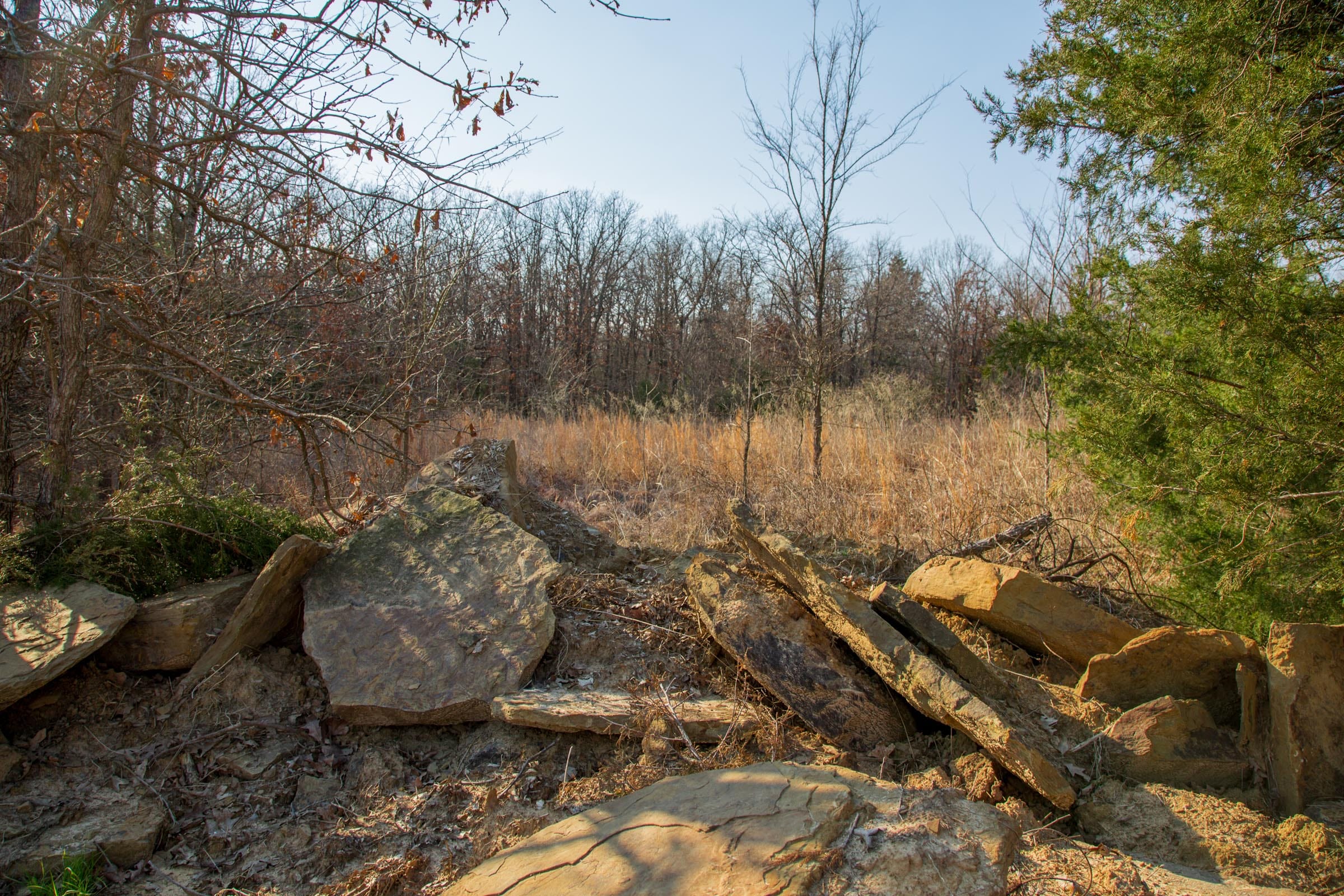 Eufaula Cove Tract 3 photo 12