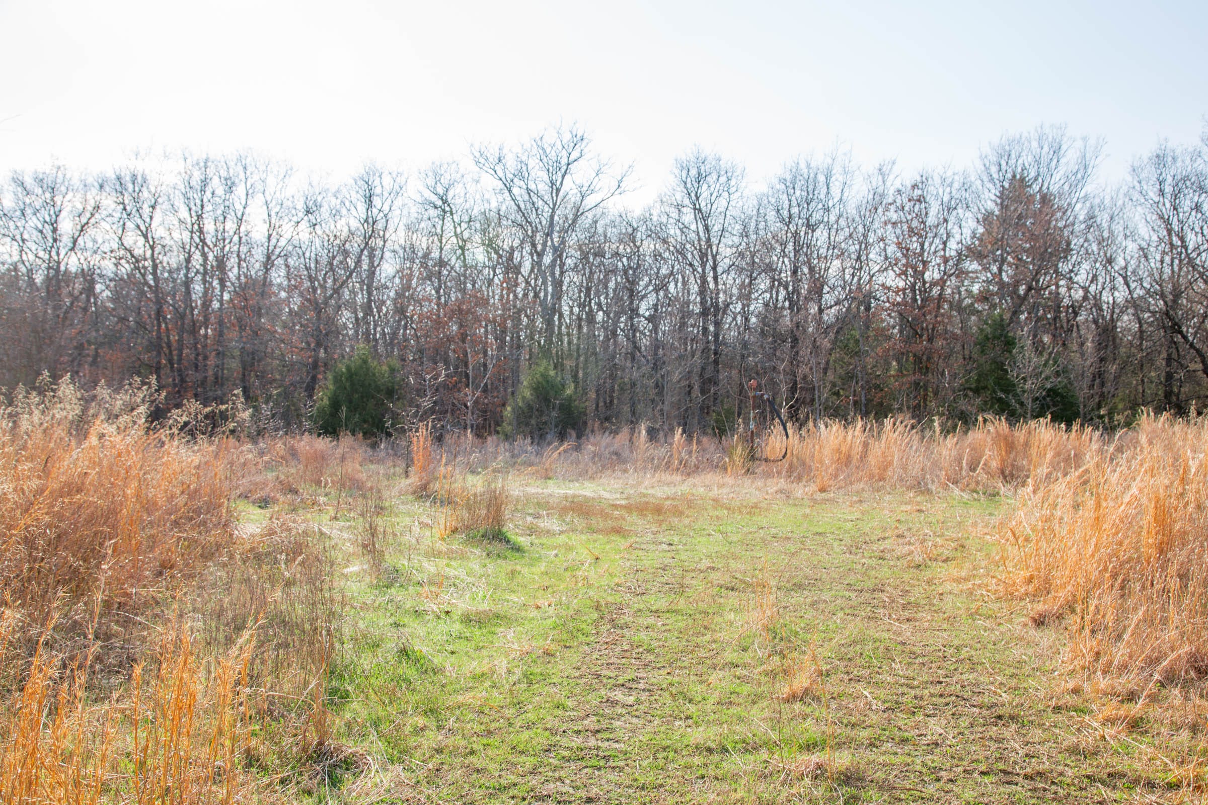 Eufaula Cove Tract 3 photo 13
