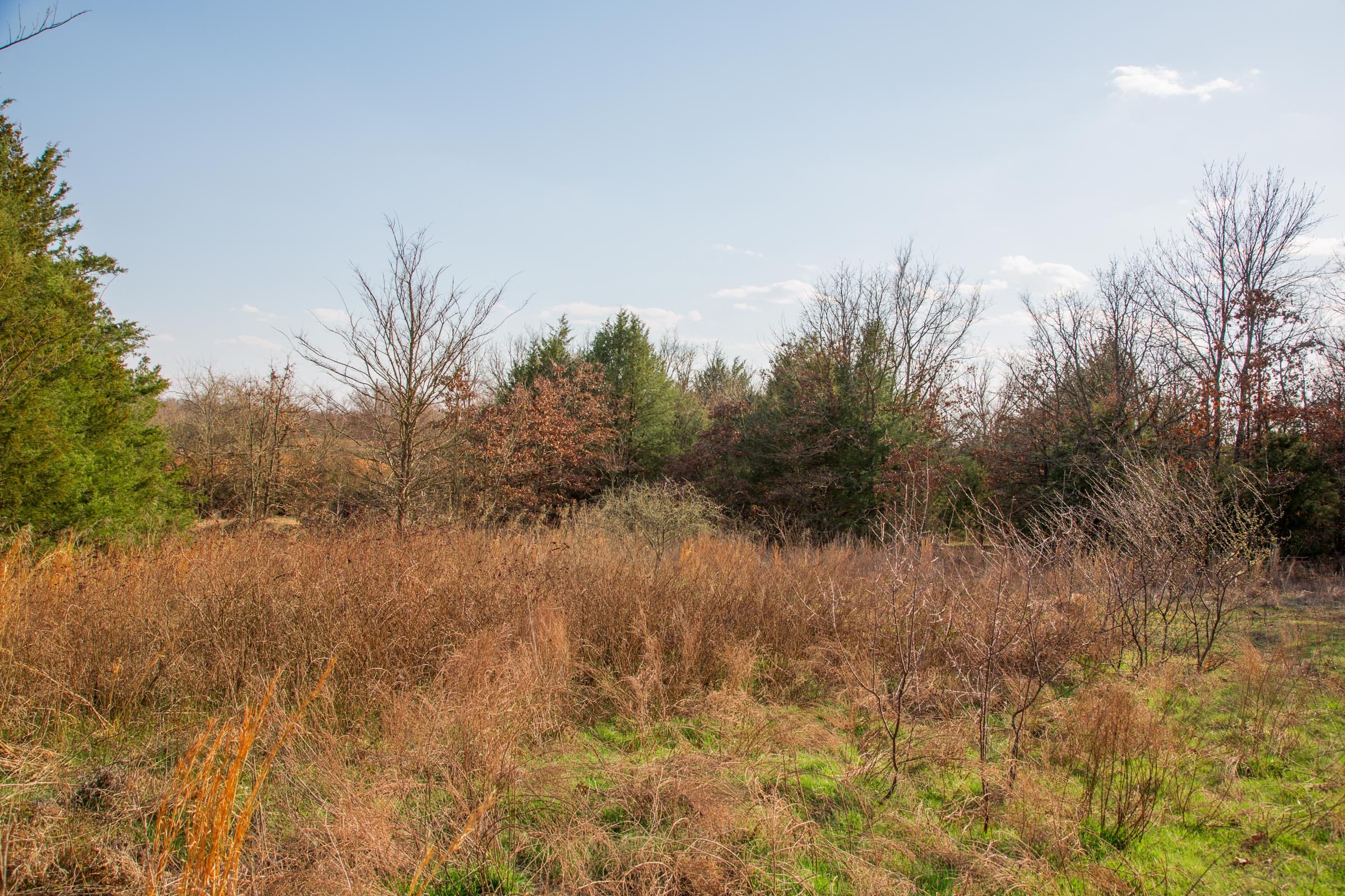 Eufaula Cove Tract 3 photo 15