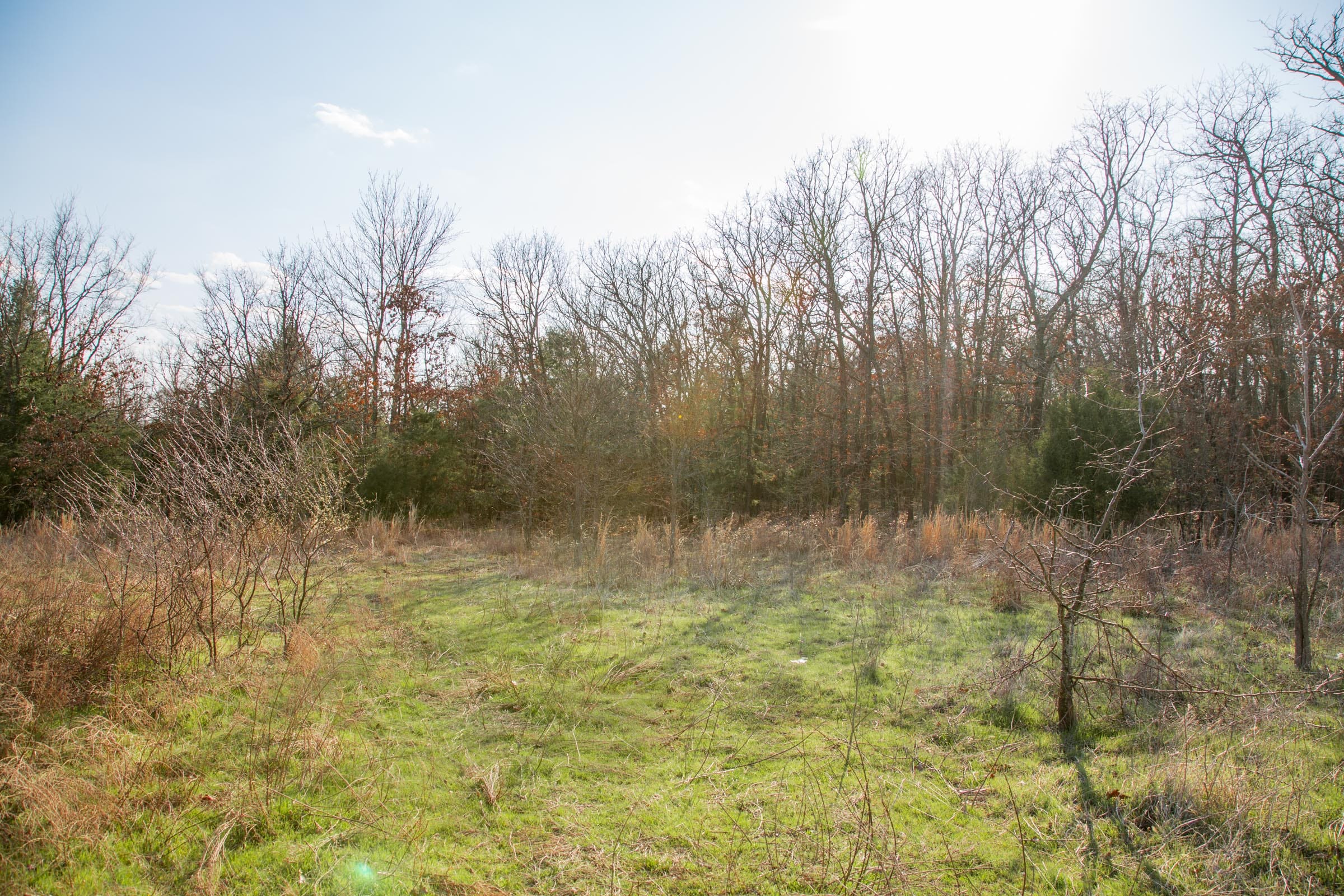 Eufaula Cove Tract 3 photo 16