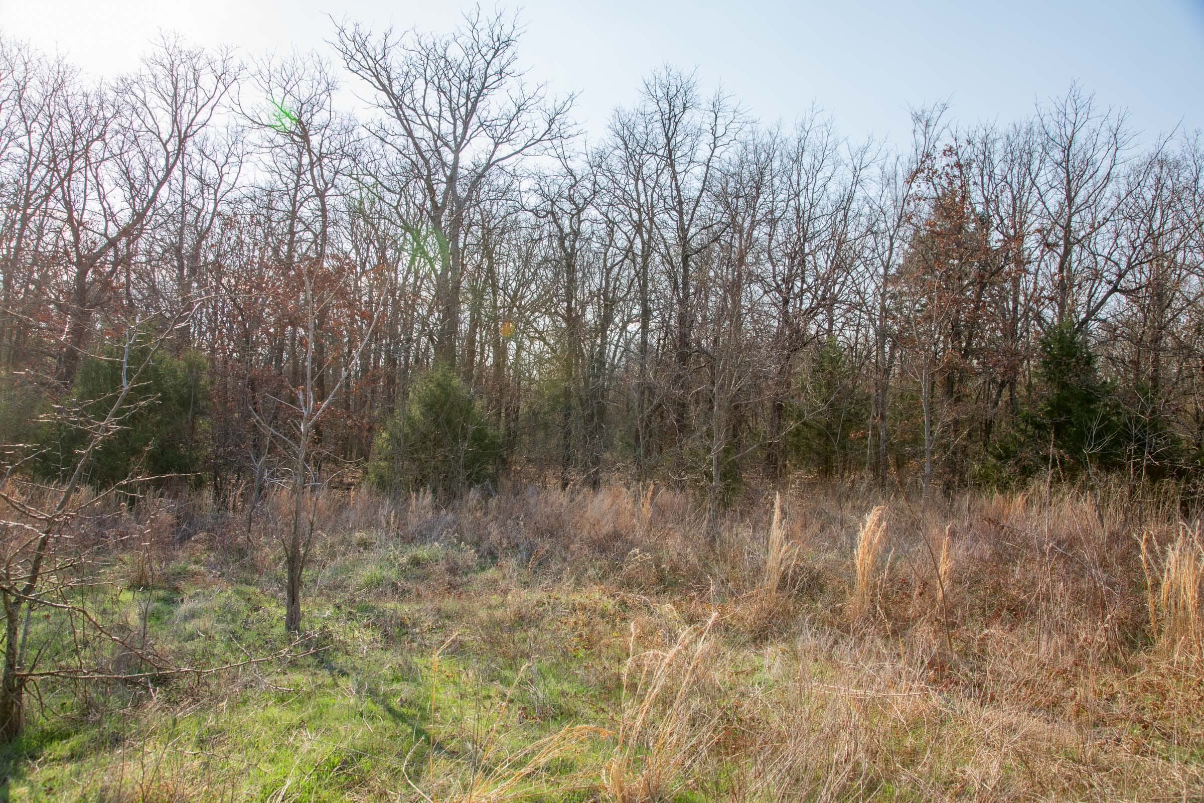 Eufaula Cove Tract 3 photo 17