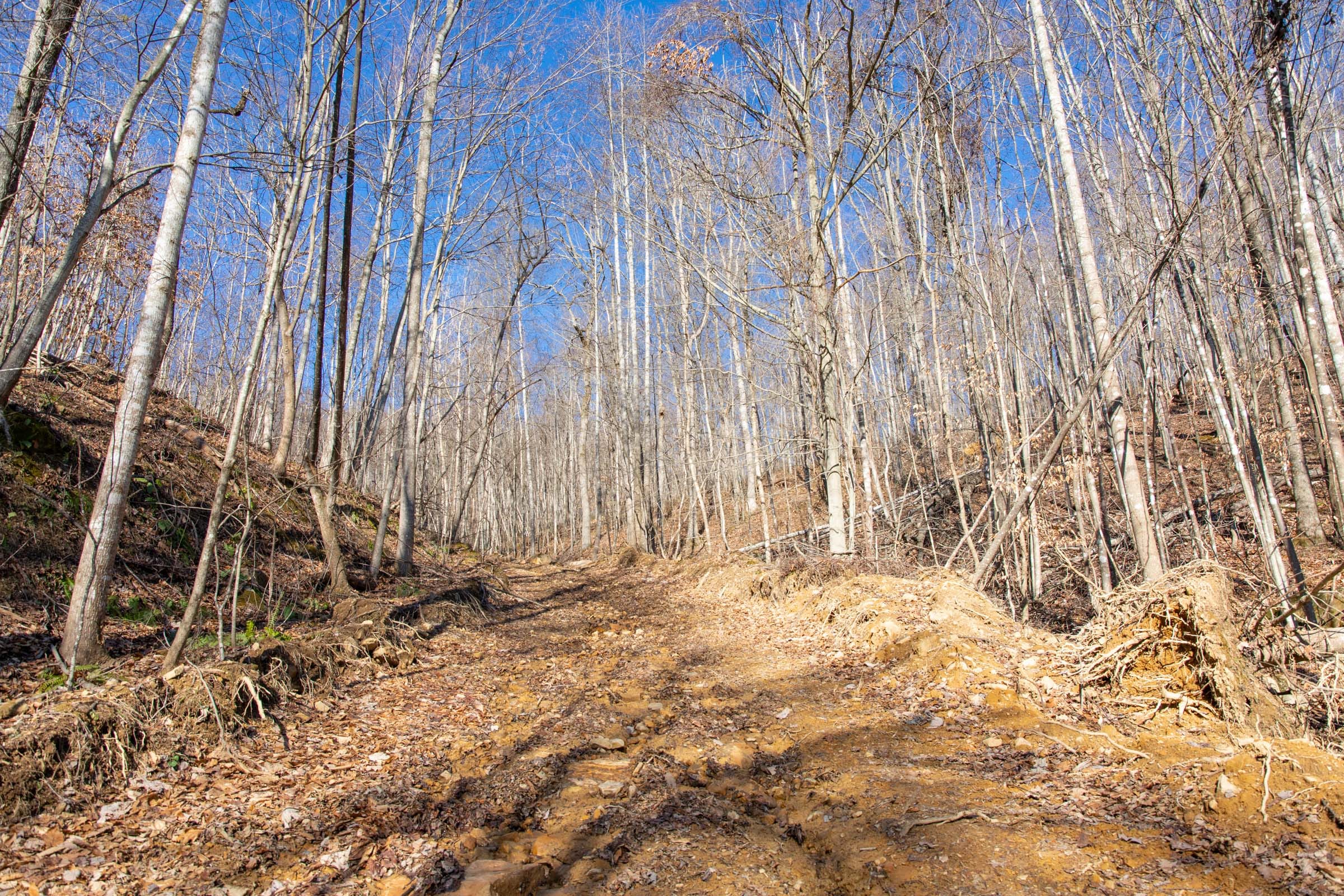 Blackstone Mountain Phase I Tract 15 photo 1