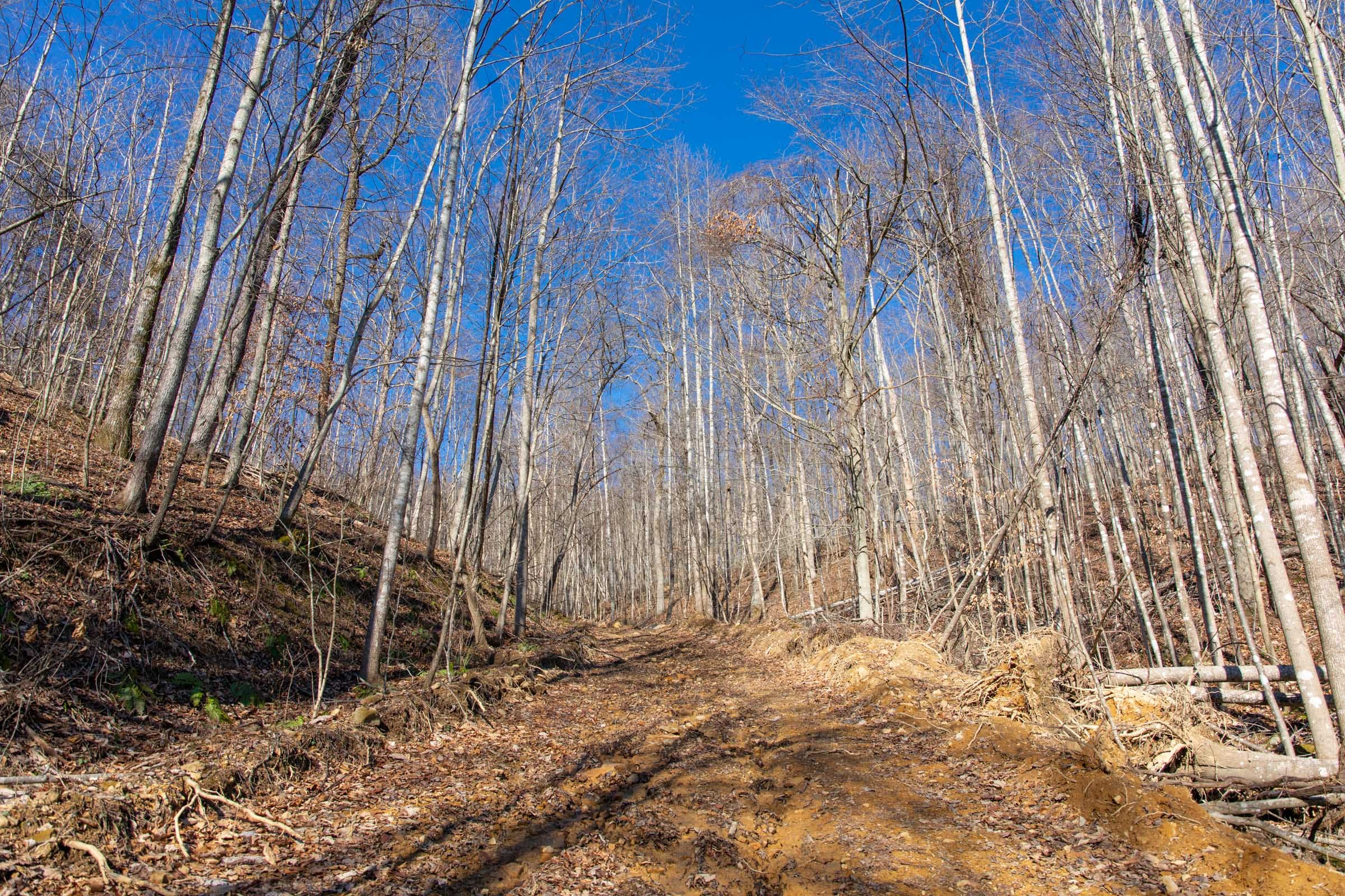 Blackstone Mountain Phase I Tract 15 photo 8
