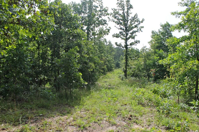 Green Mountain Ranch Tract 16 photo 1