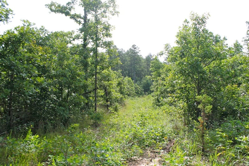 Green Mountain Ranch Tract 16 photo 2