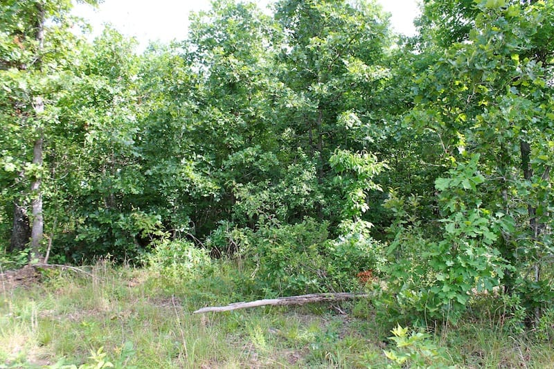 Green Mountain Ranch Tract 16 photo 3