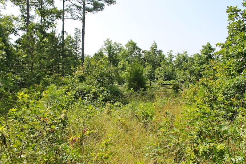 Green Mountain Ranch Tract 16 photo 4