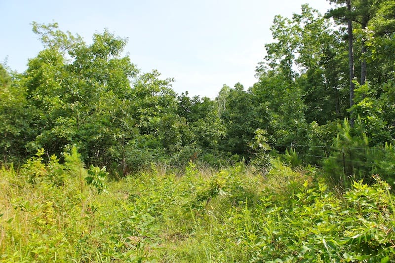 Green Mountain Ranch Tract 16 photo 5