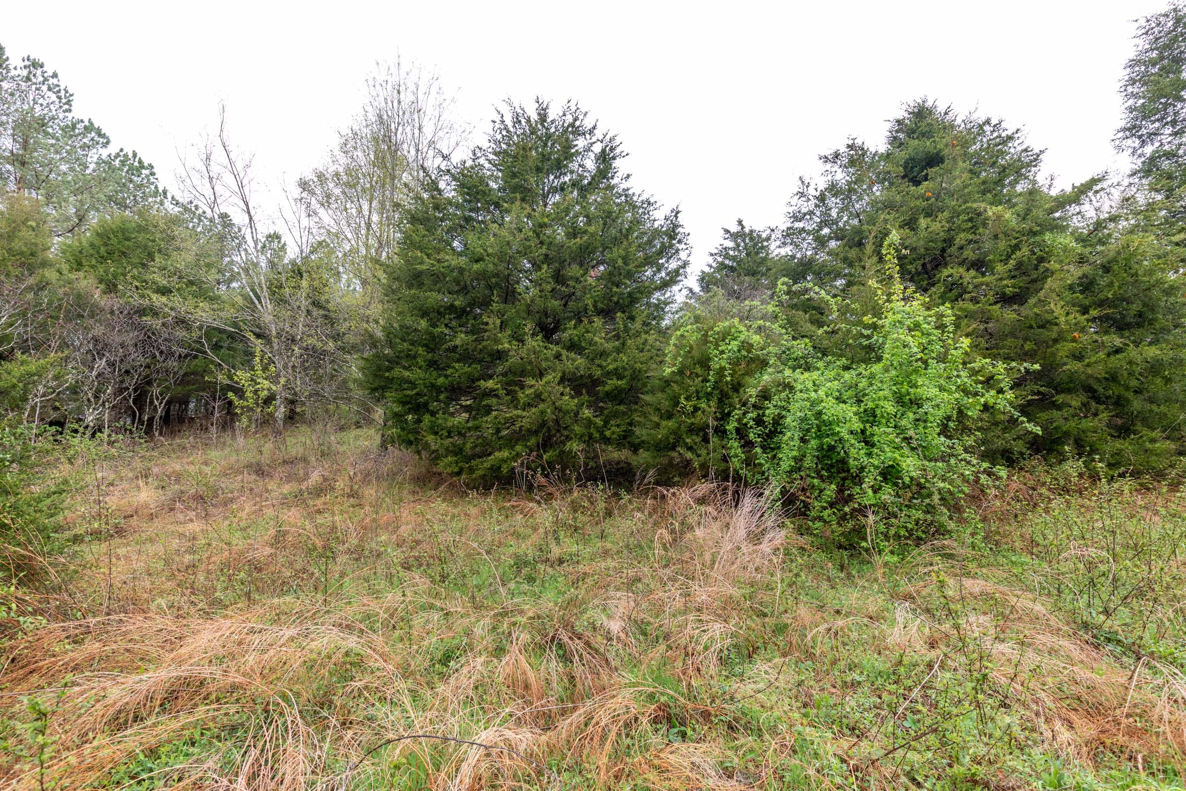 Woodland Heights Tract 20 photo 11
