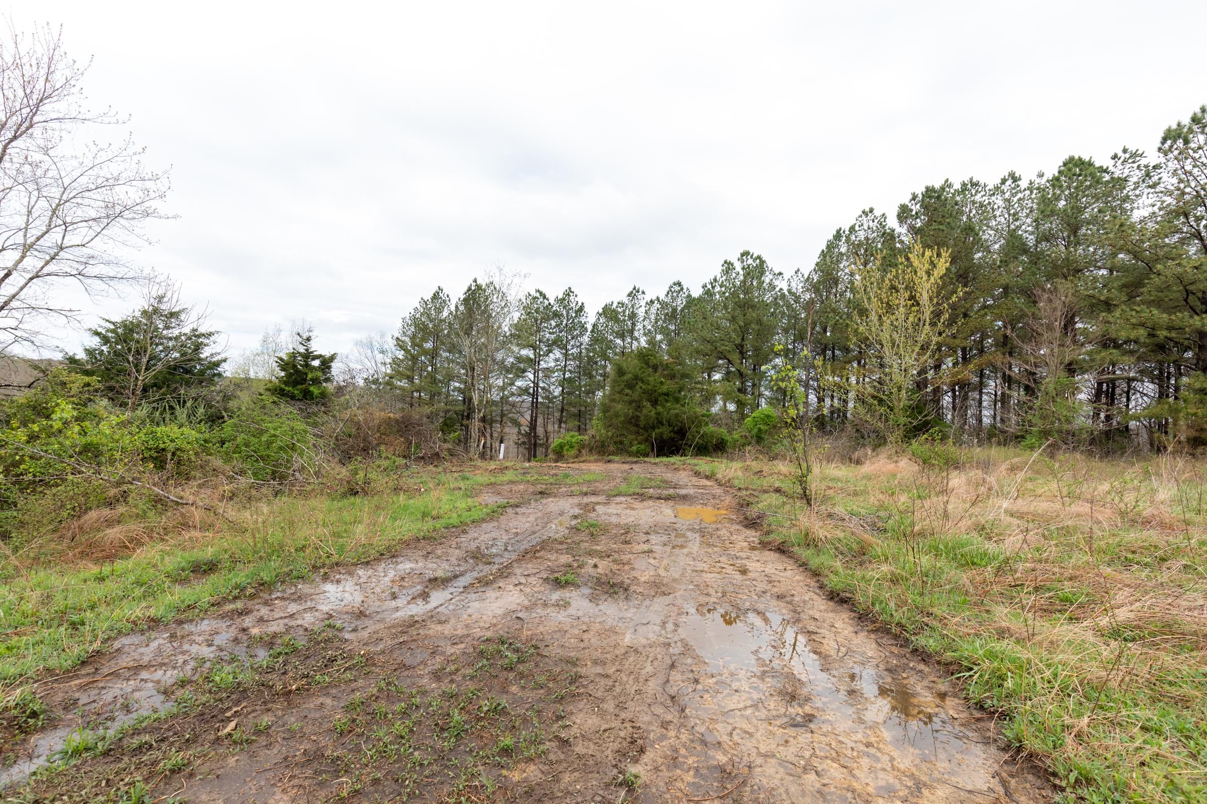 Woodland Heights Tract 20 photo 1