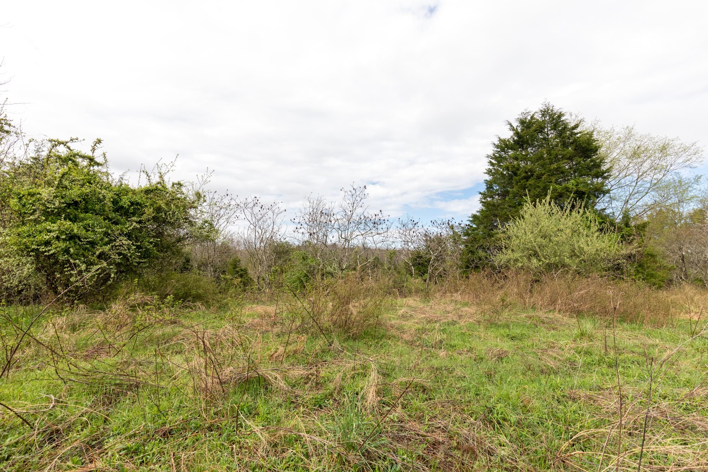 Woodland Heights Tract 20 photo 10