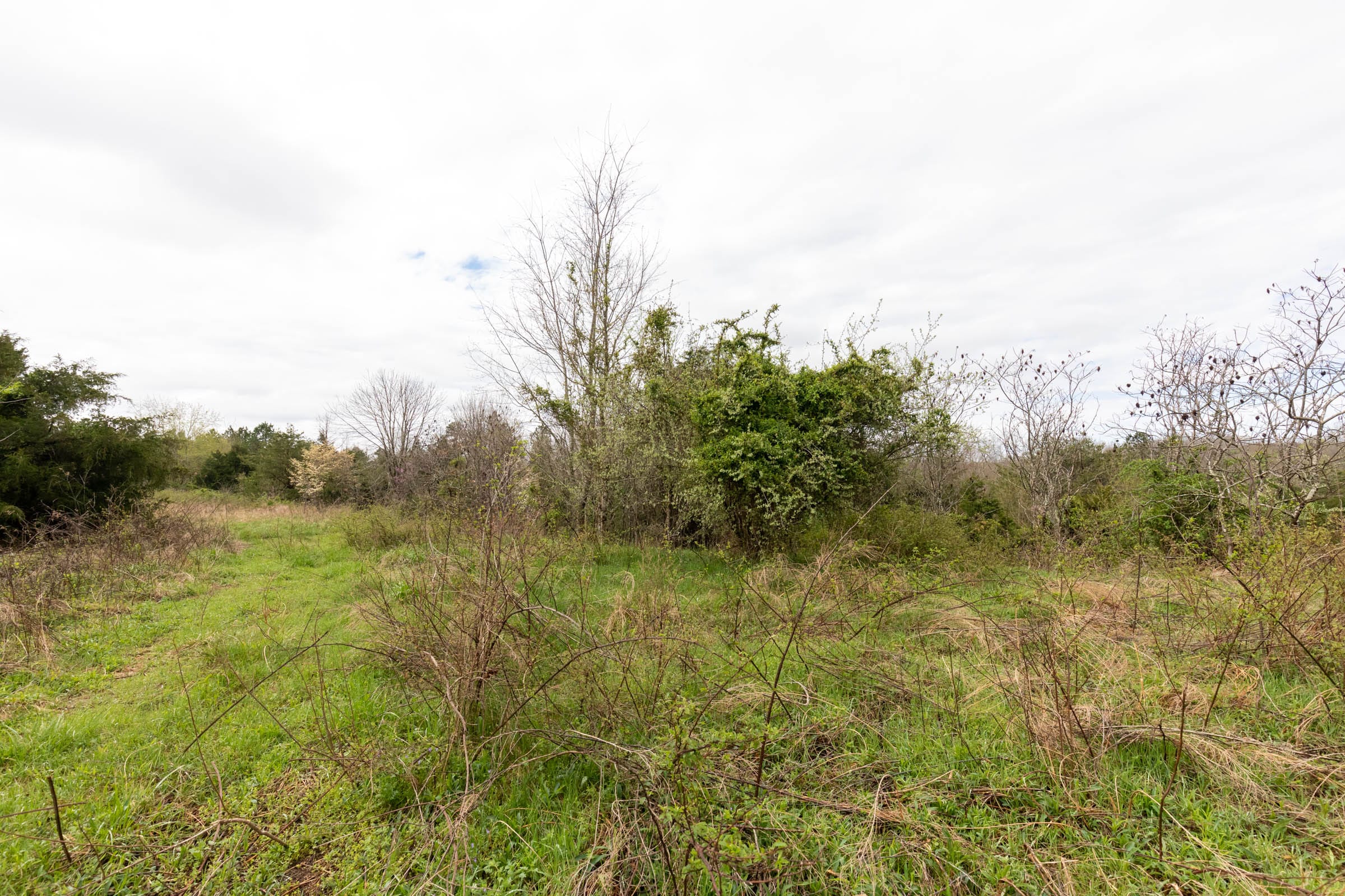 Woodland Heights Tract 20 photo 12