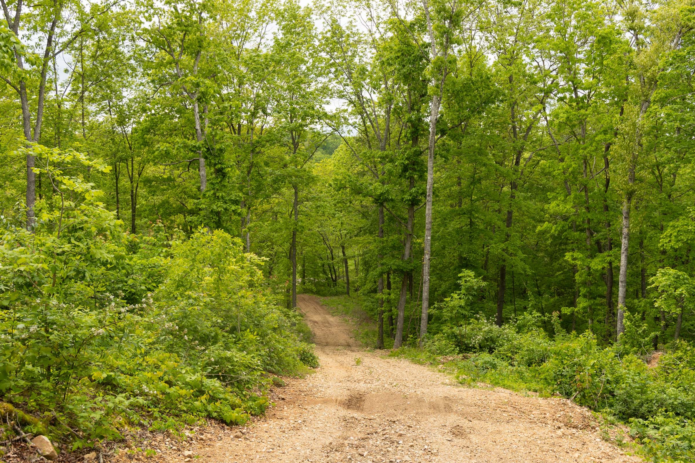 Stardust Estates Tract 5 photo 6