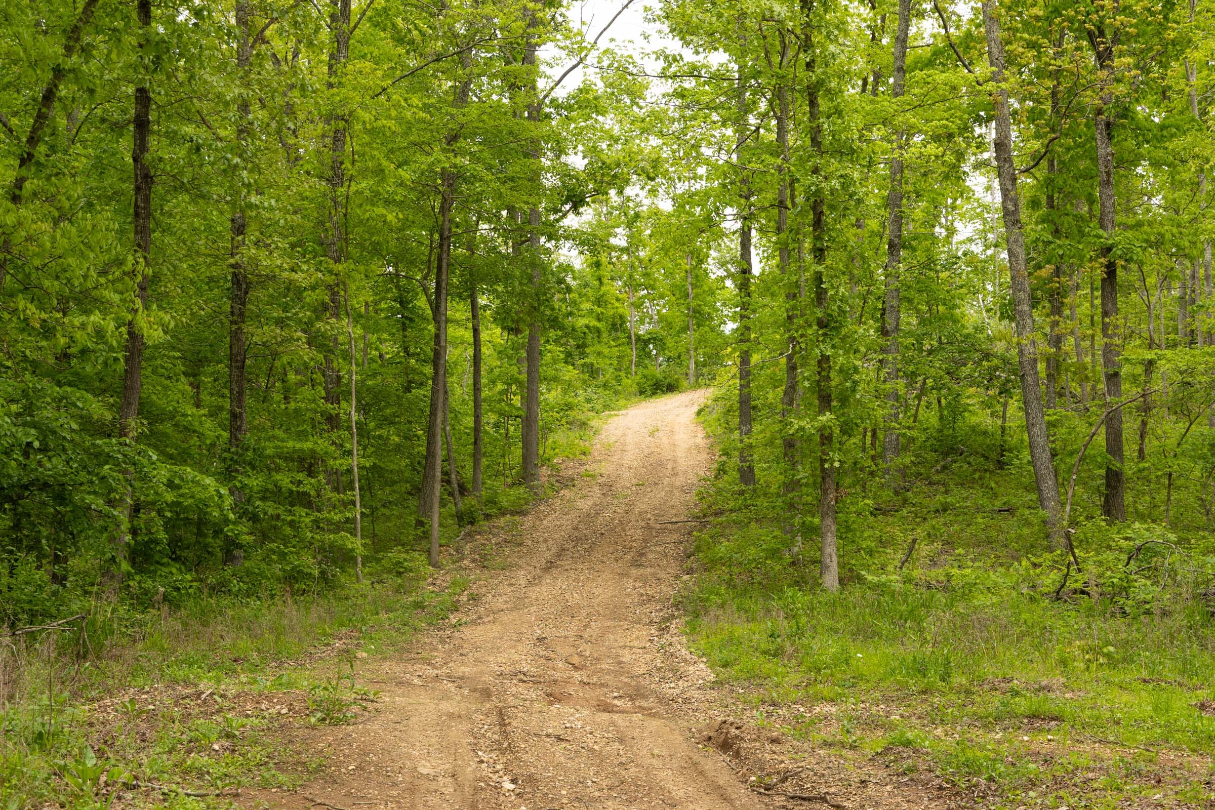 Stardust Estates Tract 5 photo 2