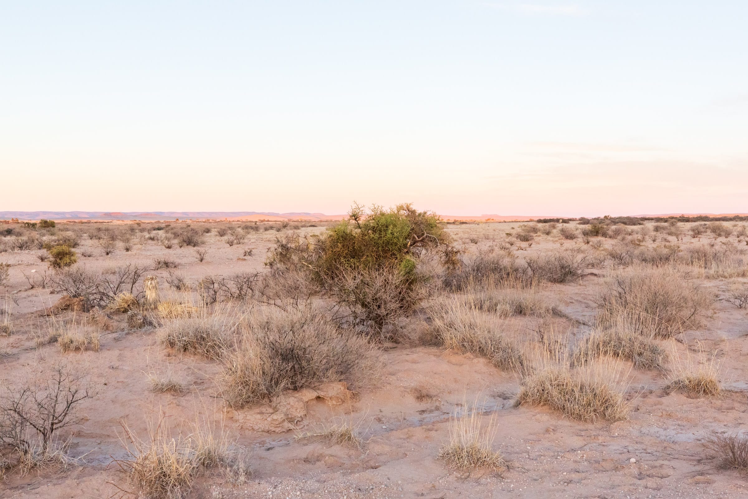 Sunrise Ranches Phase IV Tract 160 photo 12