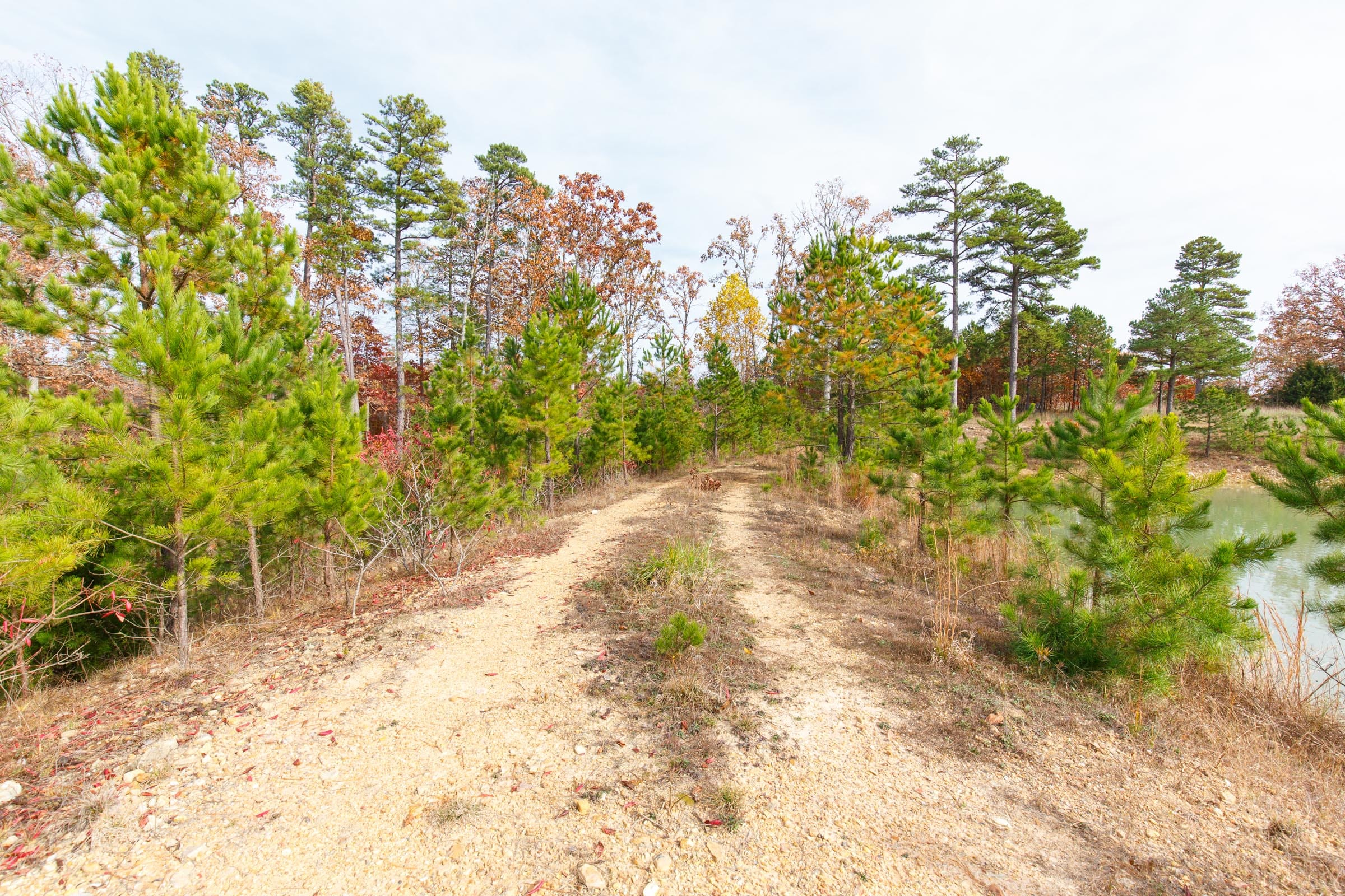 Hawkcrest Tract 23 photo 6