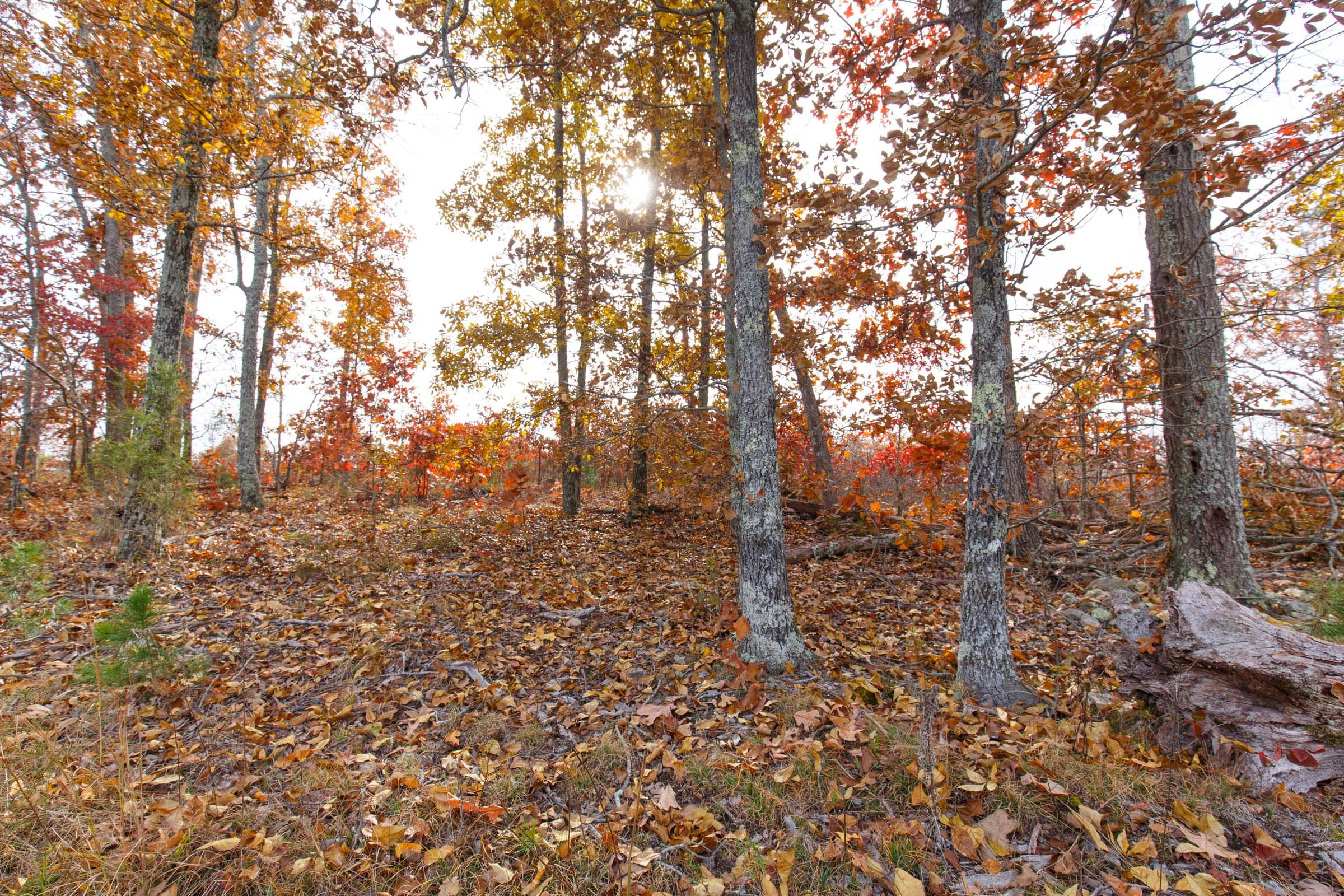 Hawkcrest Tract 23 photo 9