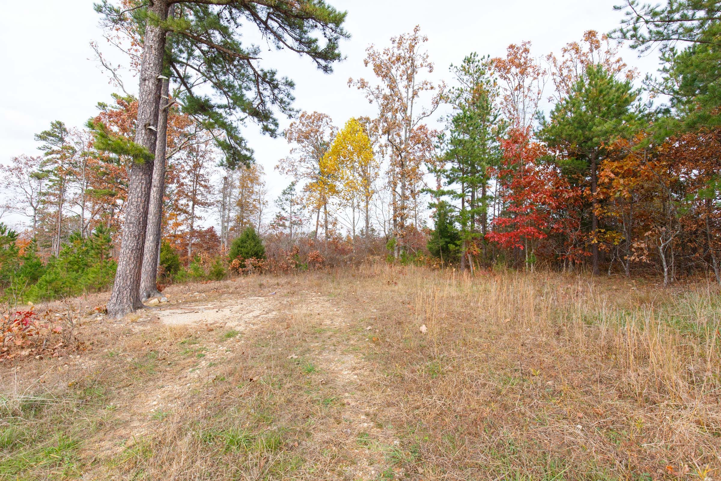 Hawkcrest Tract 23 photo 12