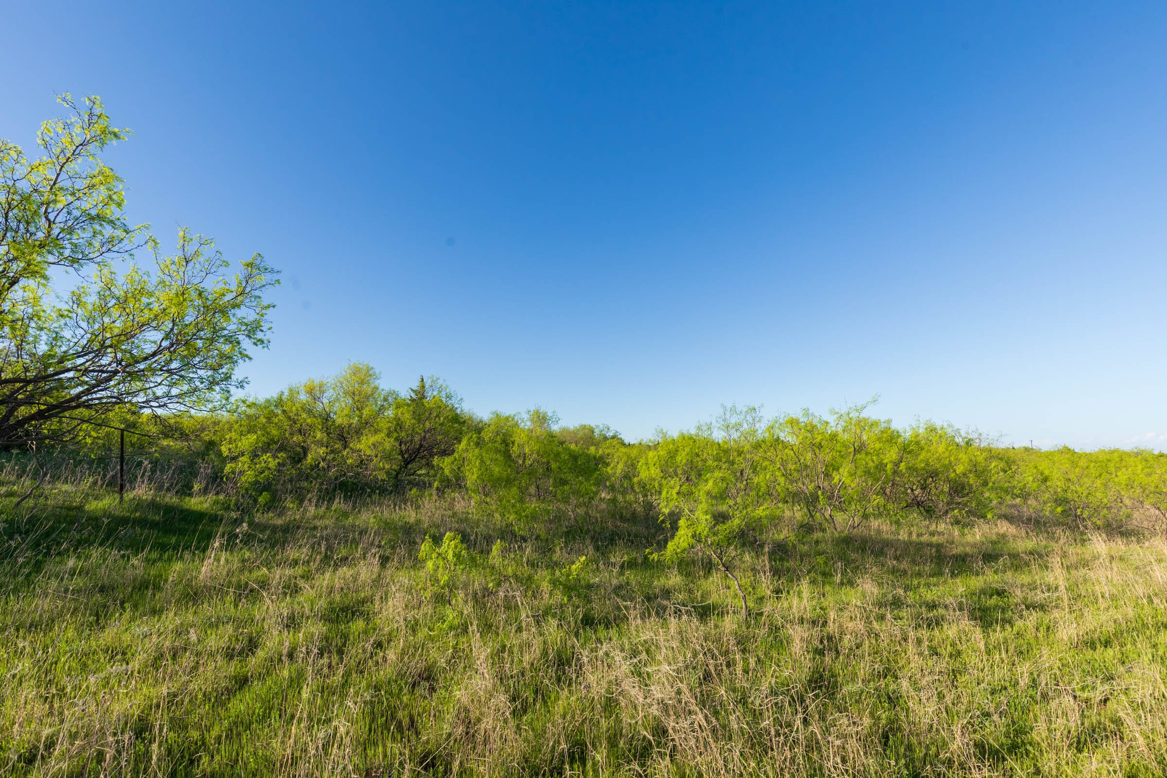 Hackberry Fields Tract 16 photo 3