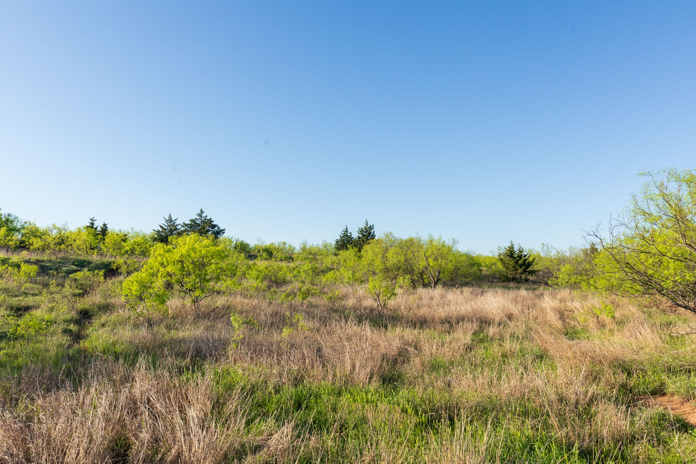 Hackberry Fields Tract 16 photo 7