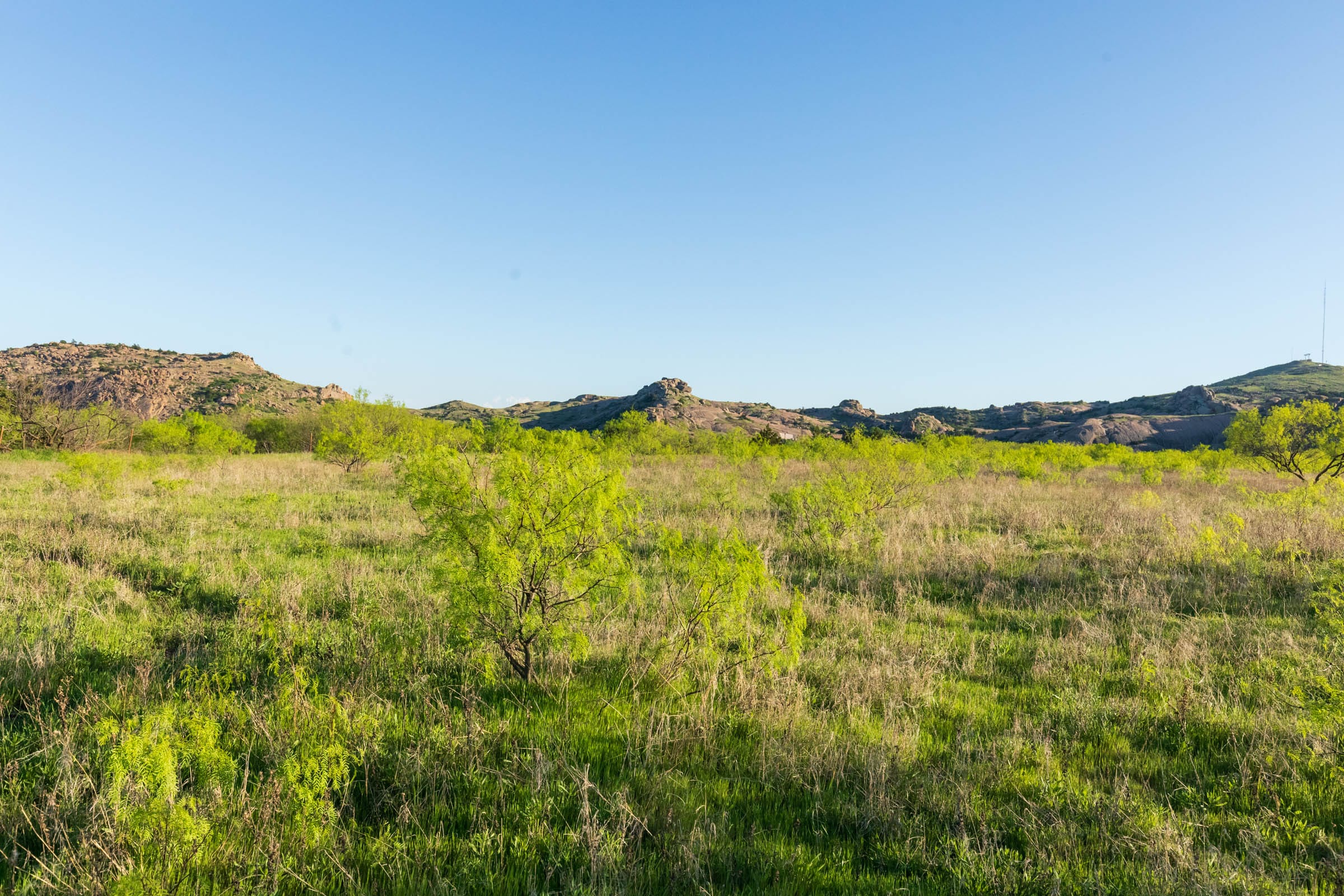 Hackberry Fields Tract 16 photo 11