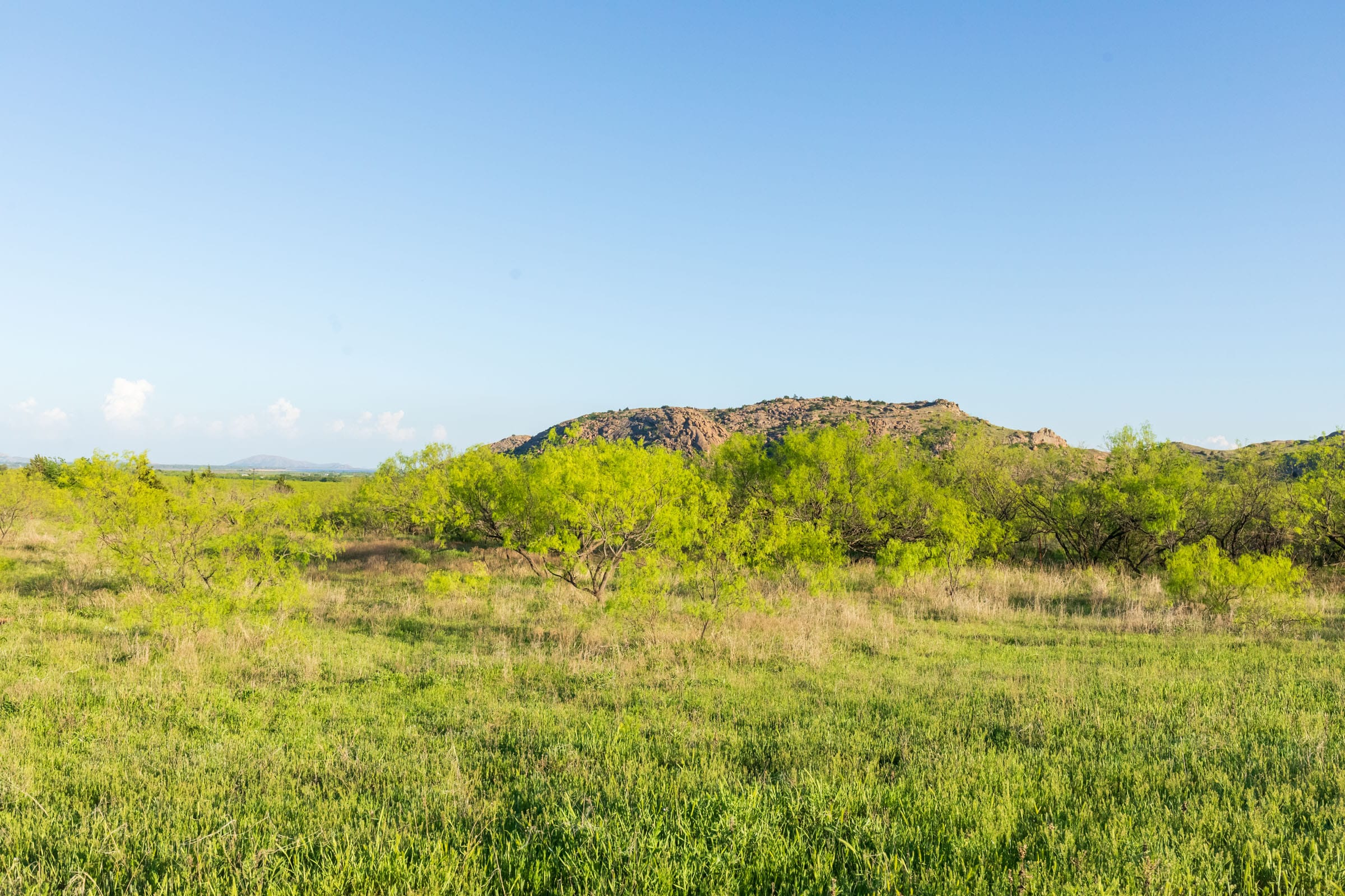Hackberry Fields Tract 16 photo 12