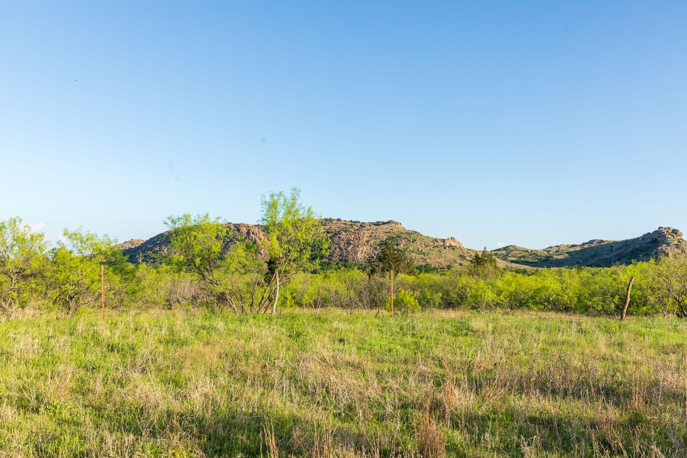 Hackberry Fields Tract 16 photo 9