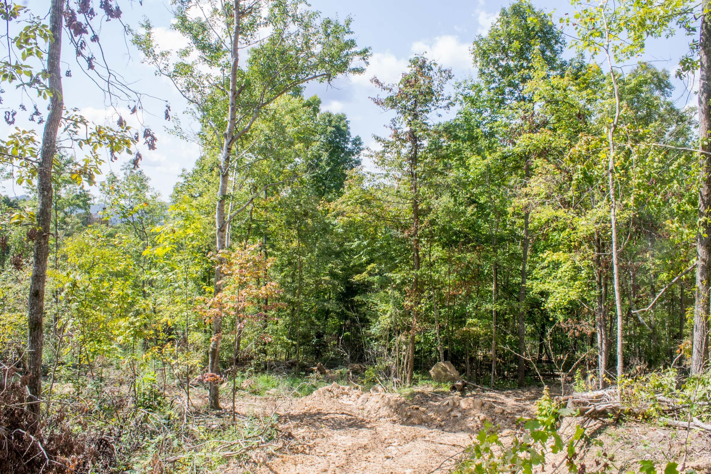 Buck Run Ridge Tract 20 photo 1