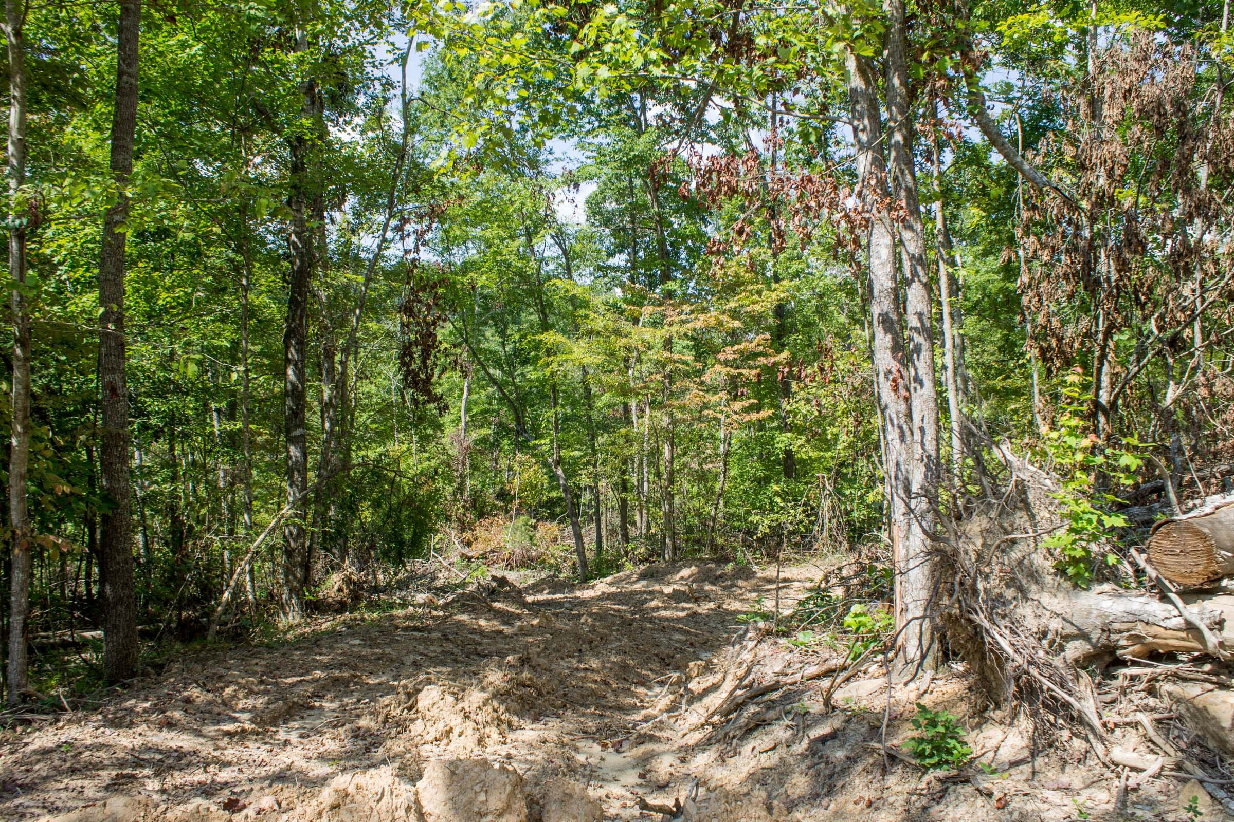 Buck Run Ridge Tract 20 photo 3