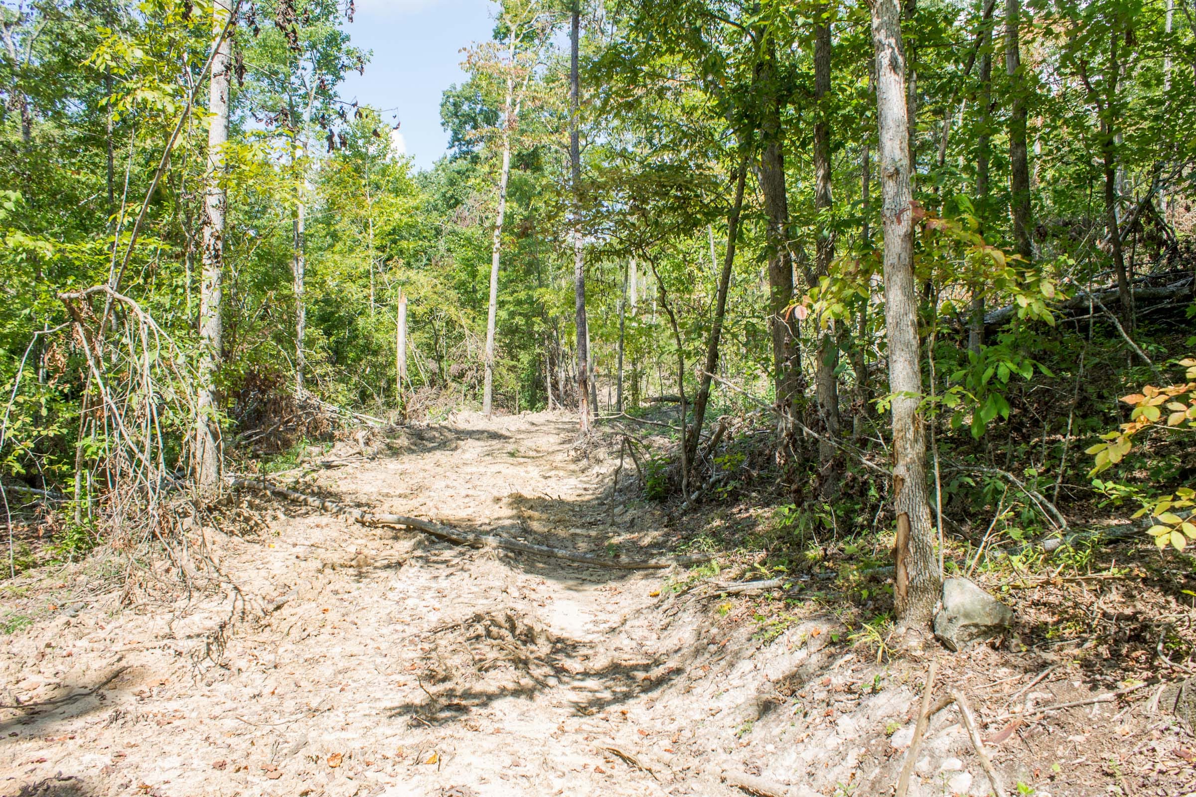 Buck Run Ridge Tract 20 photo 4
