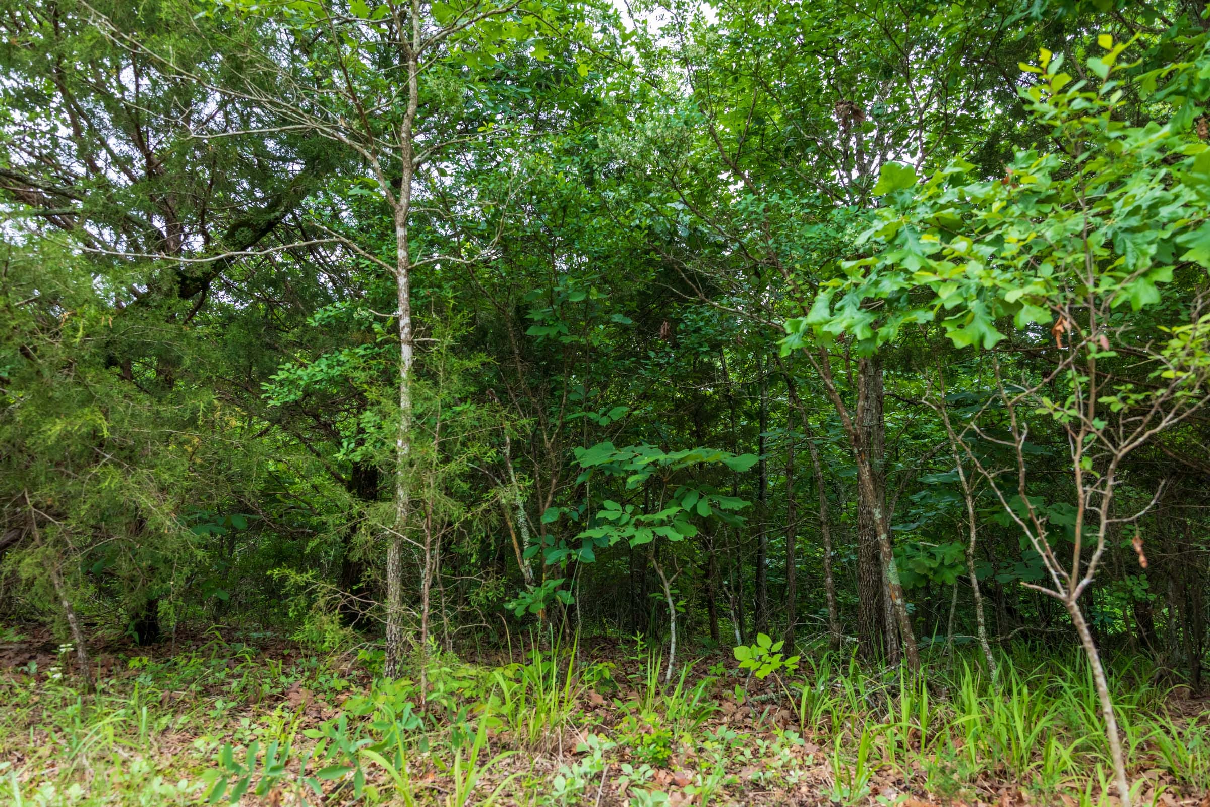 Falcon Crest Tract 8 photo 6