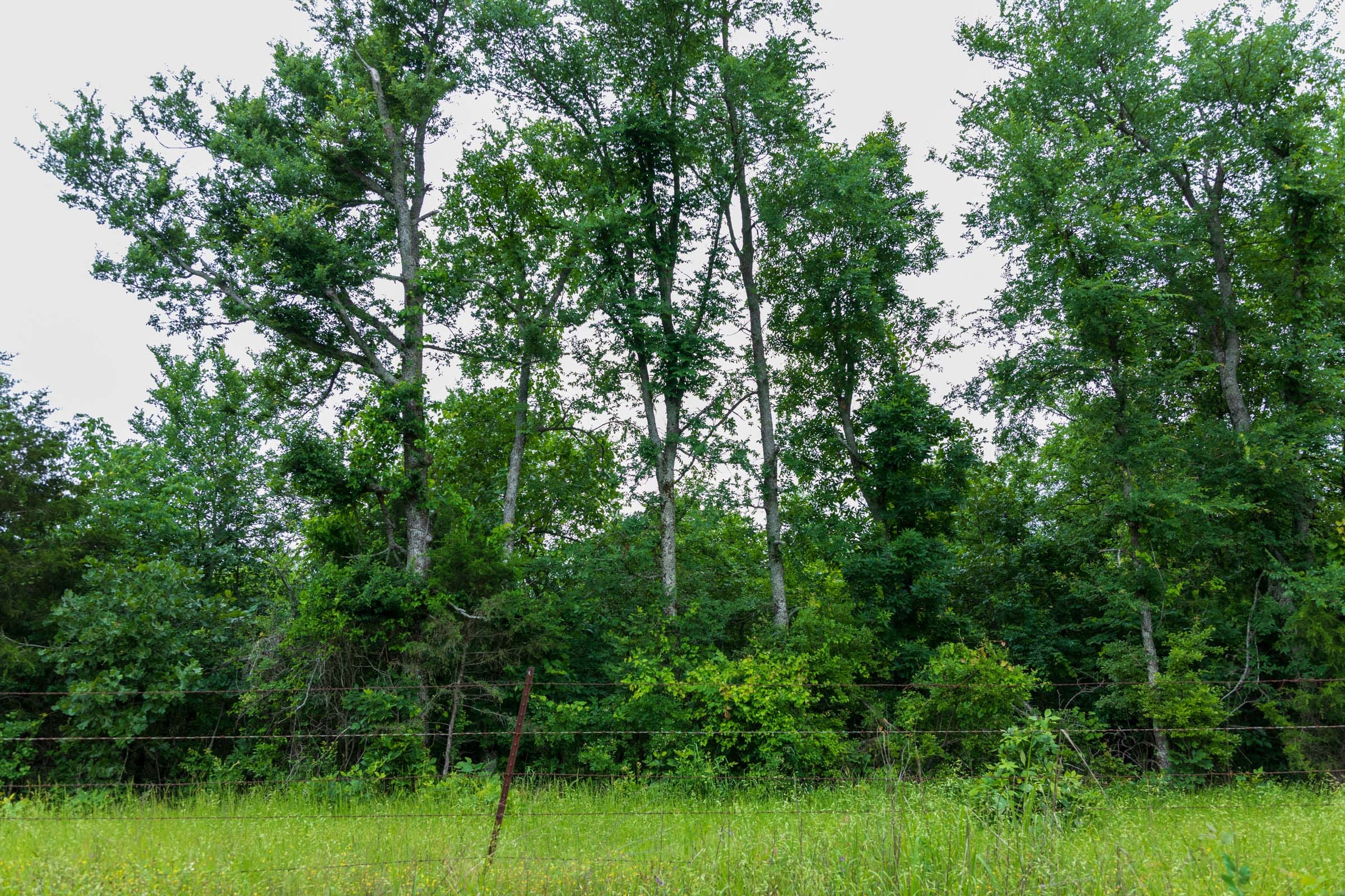 Falcon Crest Tract 8 photo 8