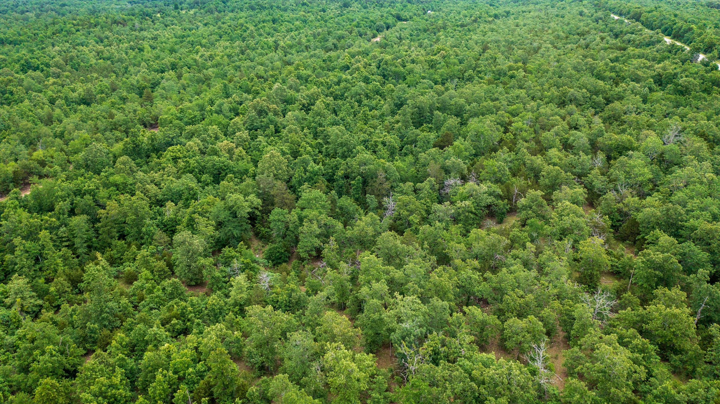 Falcon Crest Tract 8 photo 9